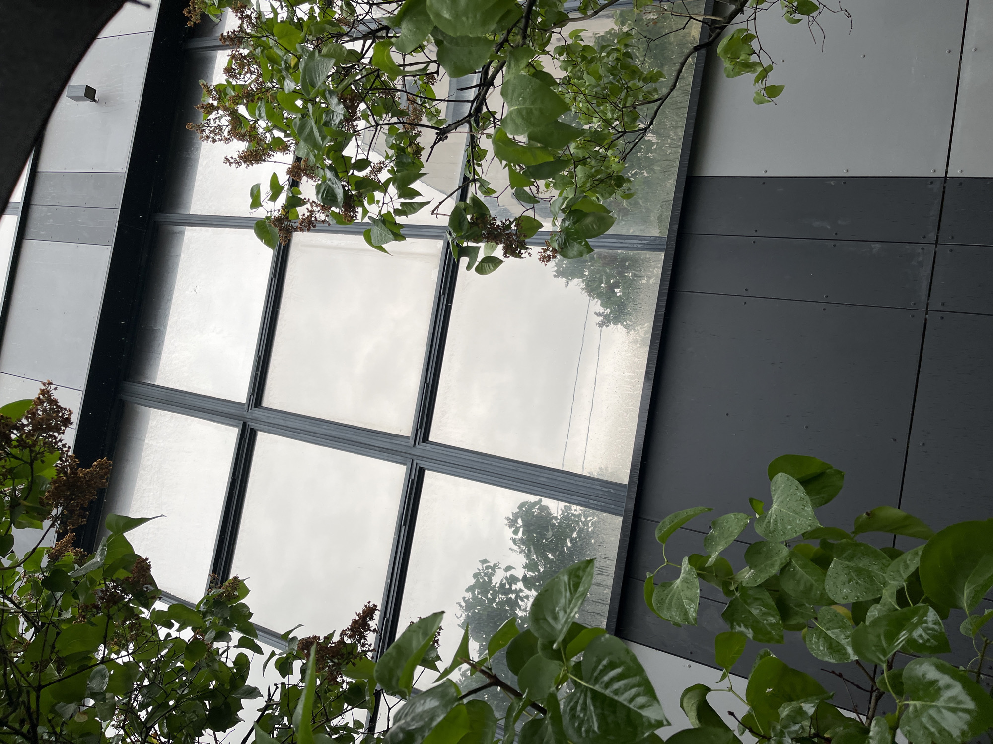 A low-angle shot captures a modern building facade featuring a large, grid-like window with a frosted appearance, reflecting an overcast sky and distant trees. Green foliage from a nearby tree frames the scene on the left and right, with raindrops visible on the leaves, suggesting a recent or ongoing rainfall. The building's exterior is clad in dark gray and light gray panels, creating a geometric pattern. A small black electrical box is mounted on the upper gray panel. The scene appears to be in an urban environment, possibly with a park or green space adjacent to the building. No people or animals are present in the image. The overall impression is one of a quiet, overcast day. The image could be of the facade of a building in Minsk, Belarus.
