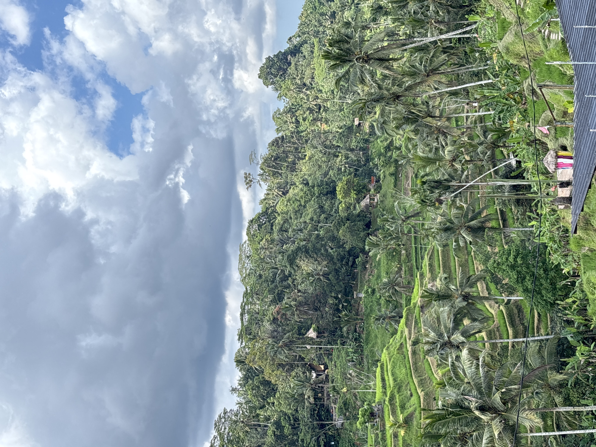 This photograph, taken in Tegallalang, Indonesia, depicts a landscape of lush green rice terraces and tropical vegetation under a partially cloudy sky. The foreground features terraced rice paddies with scattered palm trees and other green plants. A dense forest covers the hillside, reaching upwards toward the sky. A portion of a building structure, potentially a roof, is visible in the lower right corner. The sky is filled with a mix of dark, heavy clouds and patches of blue sky with white cumulus clouds.