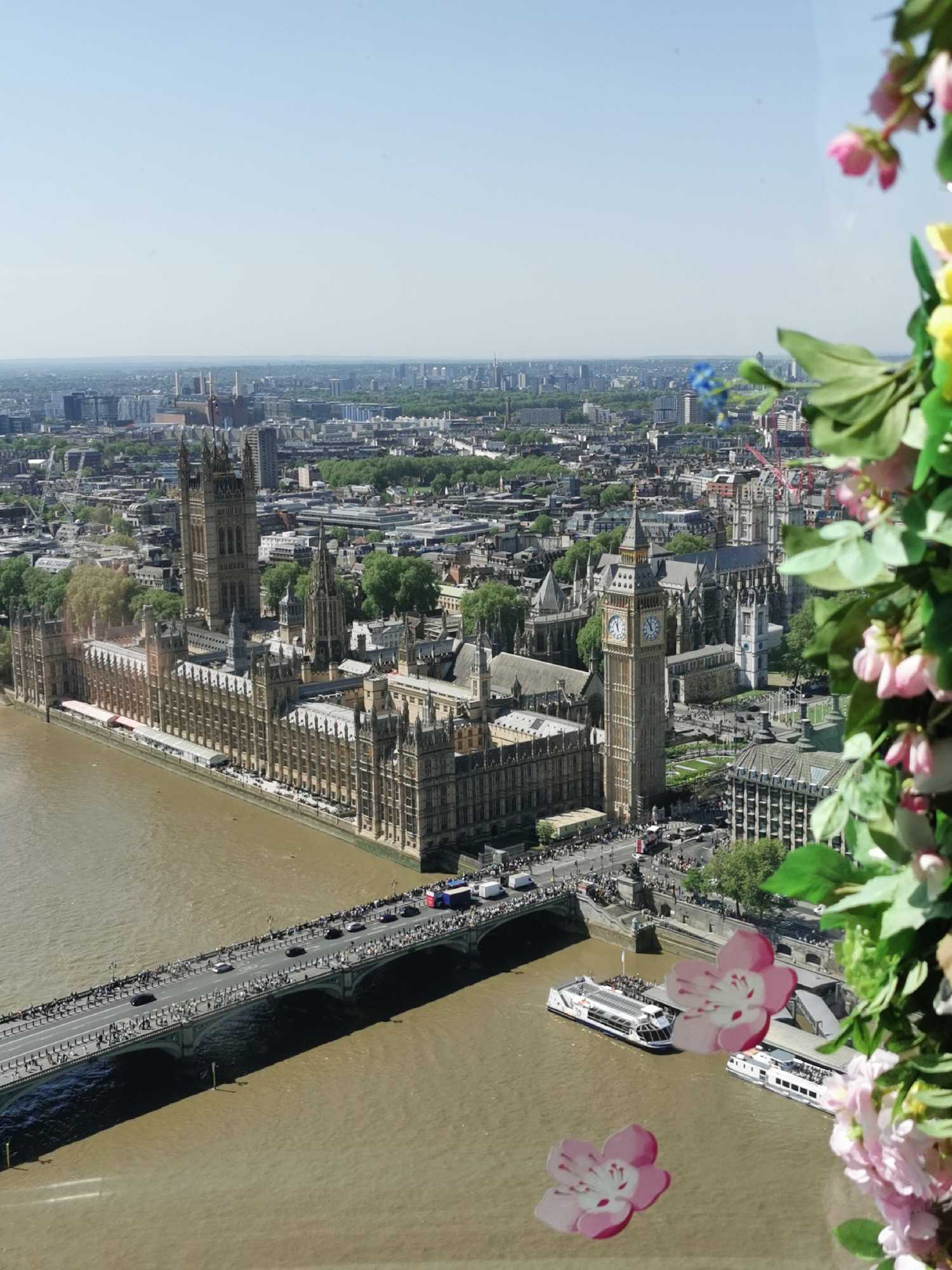 This high-angle, panoramic photograph captures a vibrant, sunlit scene of central London. The image appears to be taken from an elevated position, likely from an observation deck or building, as indicated by the decorative artificial flowers and two pink flower cutouts or reflections on glass partially visible in the right foreground.
The iconic Houses of Parliament (Palace of Westminster) dominate the left bank of the River Thames, their intricate Gothic architecture prominent. Adjacent to Parliament, the Elizabeth Tower, commonly known as Big Ben, stands tall with its clock face visible. Further back, Westminster Abbey can be seen. The River Thames, characterized by its brownish water, flows beneath Westminster Bridge, which is bustling with a large number of pedestrians and several vehicles, including cars and a double-decker bus. On the river, two large tour boats are visible, with the larger one bearing faintly discernible text "THAMES RIVER CRUISES," indicating active tourism.
Beyond these landmarks, the vast urban sprawl of London extends to the horizon under a clear, bright blue sky. In the distant background, the distinctive chimneys of Battersea Power Station are visible, providing a wider geographical context. The bright daylight and clear weather suggest a pleasant day, with the scene reflecting the dynamic daily life and tourism activities of the city. No other significant text is clearly readable.