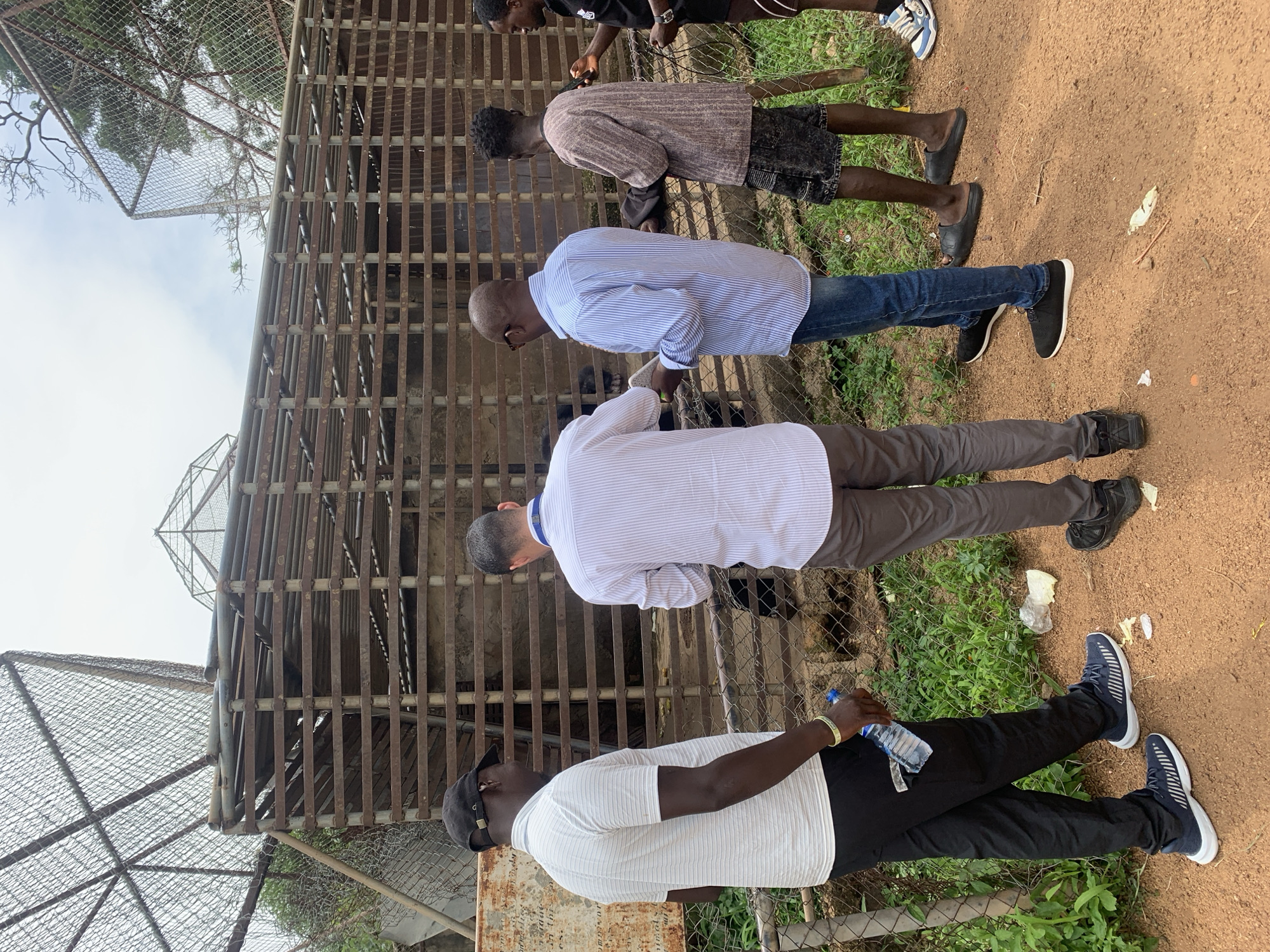 The image depicts a group of five men standing in front of a large animal enclosure, likely at a zoo or wildlife sanctuary, in Jos, Nigeria. The enclosure is constructed with metal bars and wire mesh, suggesting it is designed to house animals securely. The ground is a reddish-brown dirt path, with patches of green grass and scattered debris. The sky is overcast, indicating a cloudy day.
The men are dressed in casual attire. The man on the far left wears a white striped t-shirt, black pants, and a black baseball cap. He is holding a bottle of water. The man next to him is wearing a light blue and white striped dress shirt, blue jeans, and dark shoes. He appears to be looking intently into the enclosure, possibly examining something within. The third man from the left is wearing a brown patterned t-shirt, dark shorts, and sandals. The fourth man, on the far right, is wearing a black t-shirt and shorts, and is holding what appears to be a phone or camera. The fifth man, partially visible on the right, is wearing a dark t-shirt and shorts. The men are positioned along a chain-link fence that surrounds the enclosure.
The overall scene suggests a group of people visiting or inspecting an animal enclosure in an outdoor environment. The presence of the enclosure and the natural surroundings are consistent with a location in Jos, Nigeria, which has several wildlife attractions.