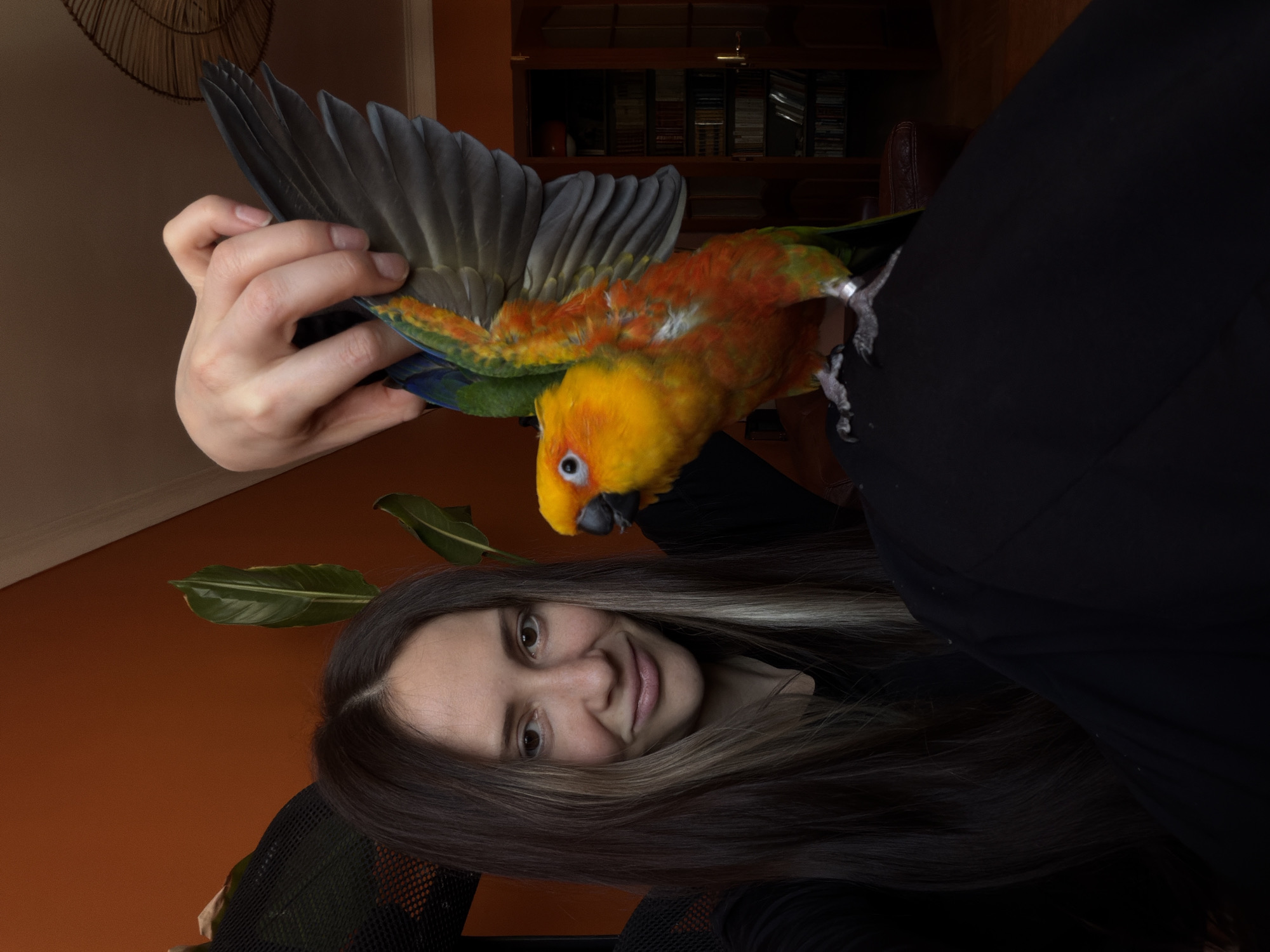 The image shows a woman holding a sun conure parrot in front of her. The woman is facing the camera and smiling slightly. She has long, dark hair with light brown highlights. She is wearing a black top. The parrot is colorful, with yellow, orange, and green feathers. Its wings are spread open, revealing blue feathers on the underside. A hand is holding the bird's wings. The background includes an orange wall, a dark wooden bookcase, and a green plant. The image appears to be taken indoors. There is no information to confirm the image location is in Khimki, Russia.