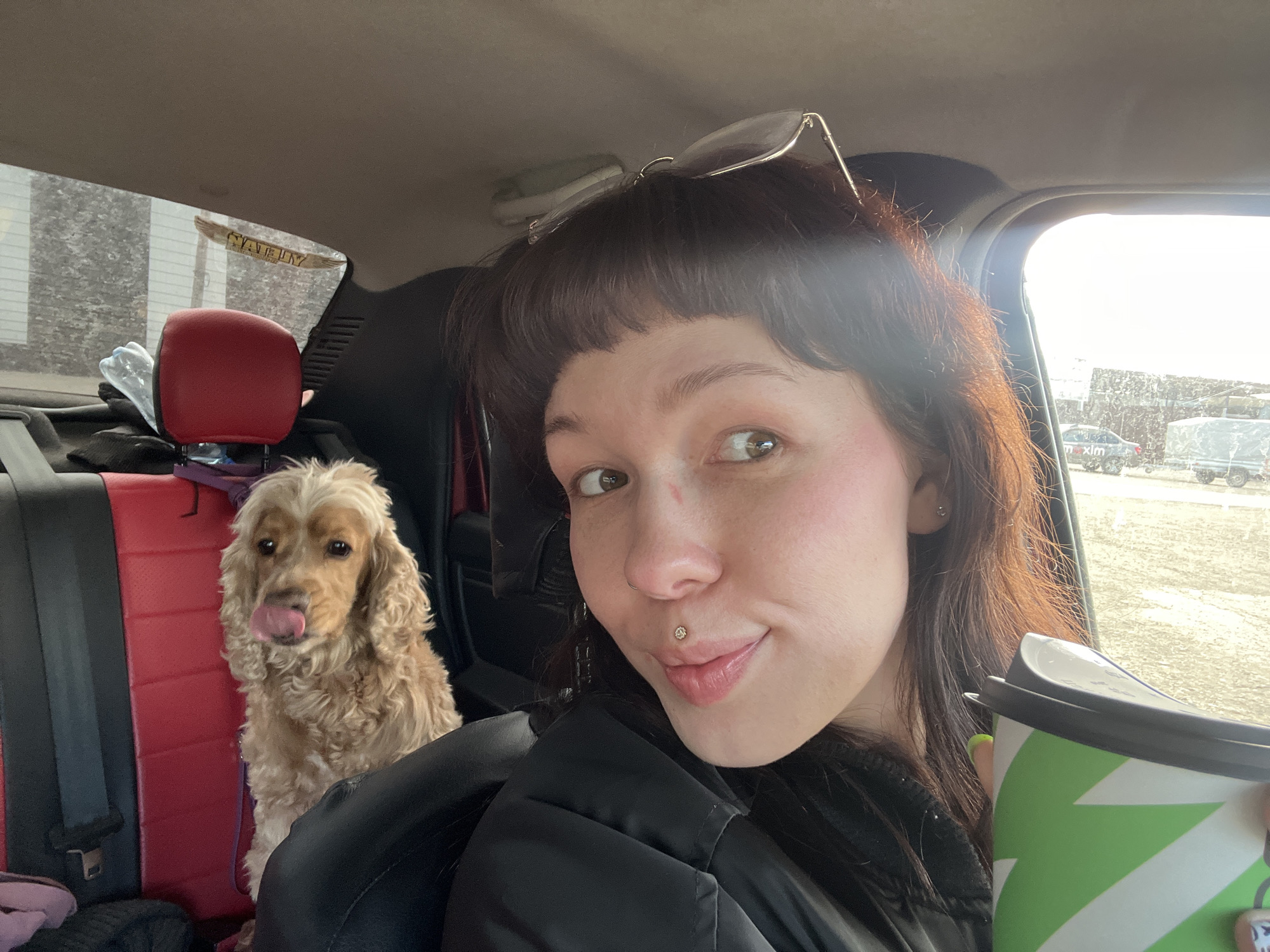 A fair-skinned female with brown hair and bangs is in the driver's seat of a car, holding a green and white cup. The car's interior features red and black seats. A medium-sized, tan dog with long, curly ears is sitting in the back seat. Sunglasses rest on top of the woman's head. The woman has a lip piercing. A sticker is visible on the rear windshield. Outside the car window, there are other cars and buildings. Based on the "maxim" car branding and Cyrillic text visible, the location is Chaikovsky, Russia.