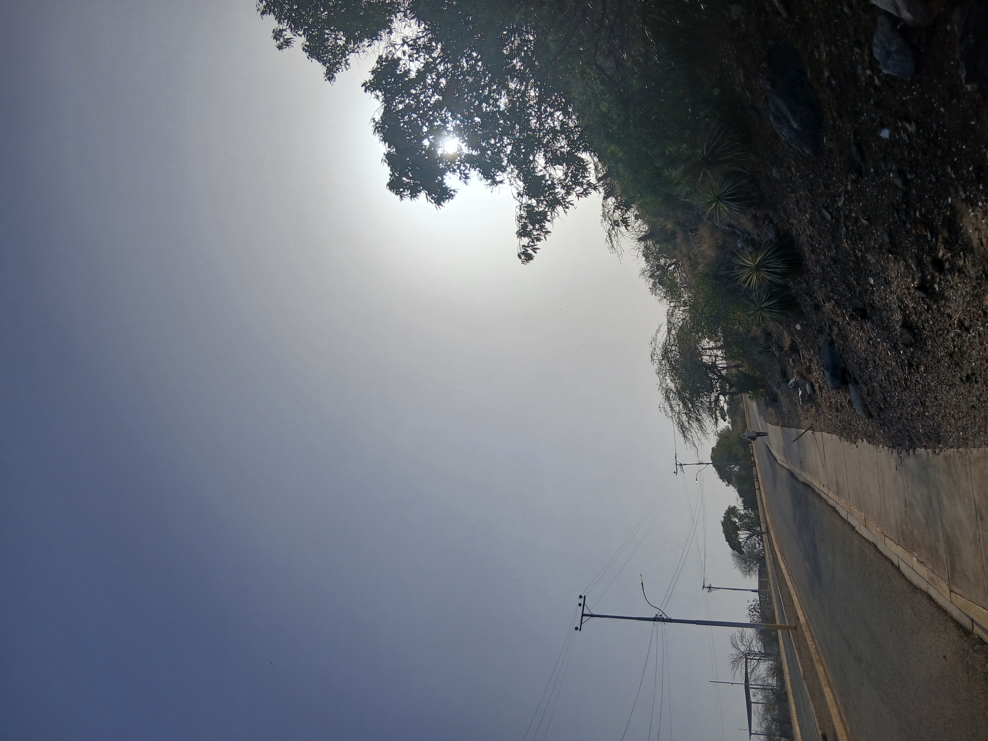 The image depicts an outdoor scene in Juan Griego, Venezuela, under a bright, hazy sky during daylight hours. A paved road, flanked by a concrete or lighter-colored sidewalk and a curb, stretches diagonally from the foreground into the middle distance on the left side of the frame. Several utility poles with power lines are visible along the road's left edge, extending into the background, with one prominent pole featuring a streetlight closer to the viewer.
On the right side of the road, a steep, rocky hillside is visible, sparsely covered with distinctive spiky plants that resemble agaves or yuccas. The upper right portion of the frame is dominated by dense tree foliage, through which the sun peeks, creating a strong glare and backlighting the leaves. More trees, some appearing with thinner foliage, line the road further in the distance. A solitary figure is visible walking away from the camera along the road in the far background.
The strong, bright sun suggests it is either mid-morning or afternoon, contributing to a sense of warmth and possibly haze in the air. No discernible text is visible in the image. The environment appears to be a quiet, semi-arid roadside area.