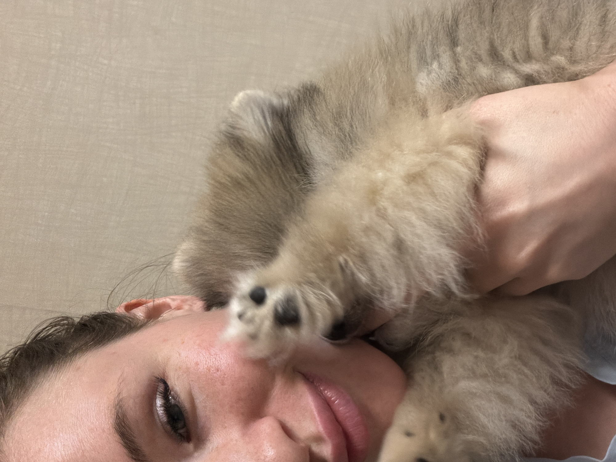 A close-up vertical shot depicts a young adult female embracing a small, fluffy canid puppy in an indoor setting within the city of Unknown, Russia. The female subject occupies the left side of the frame, presenting a partial view of her face from the nose upwards and her mouth, which is curved in a smile. Her left eye is open, with visible eyelashes enhanced by mascara and light eyeshadow. Her skin is fair with light freckling. Dark hair is pulled back from her face. A hint of light blue clothing is visible on her left shoulder. The puppy, characterized by thick, light-colored fur ranging from cream to grey-brown, is held close to the woman's face. Its front right paw, featuring dark paw pads, extends towards her cheek, partially obscuring her lower face. The animal's body is largely concealed by the woman's embrace, but its fluffy texture and an ear are visible on the right. The interaction suggests affectionate contact, with the animal's paw resting against the woman's face. The background consists of a plain, light beige wall, indicating an interior location. Soft, diffused lighting illuminates the scene.