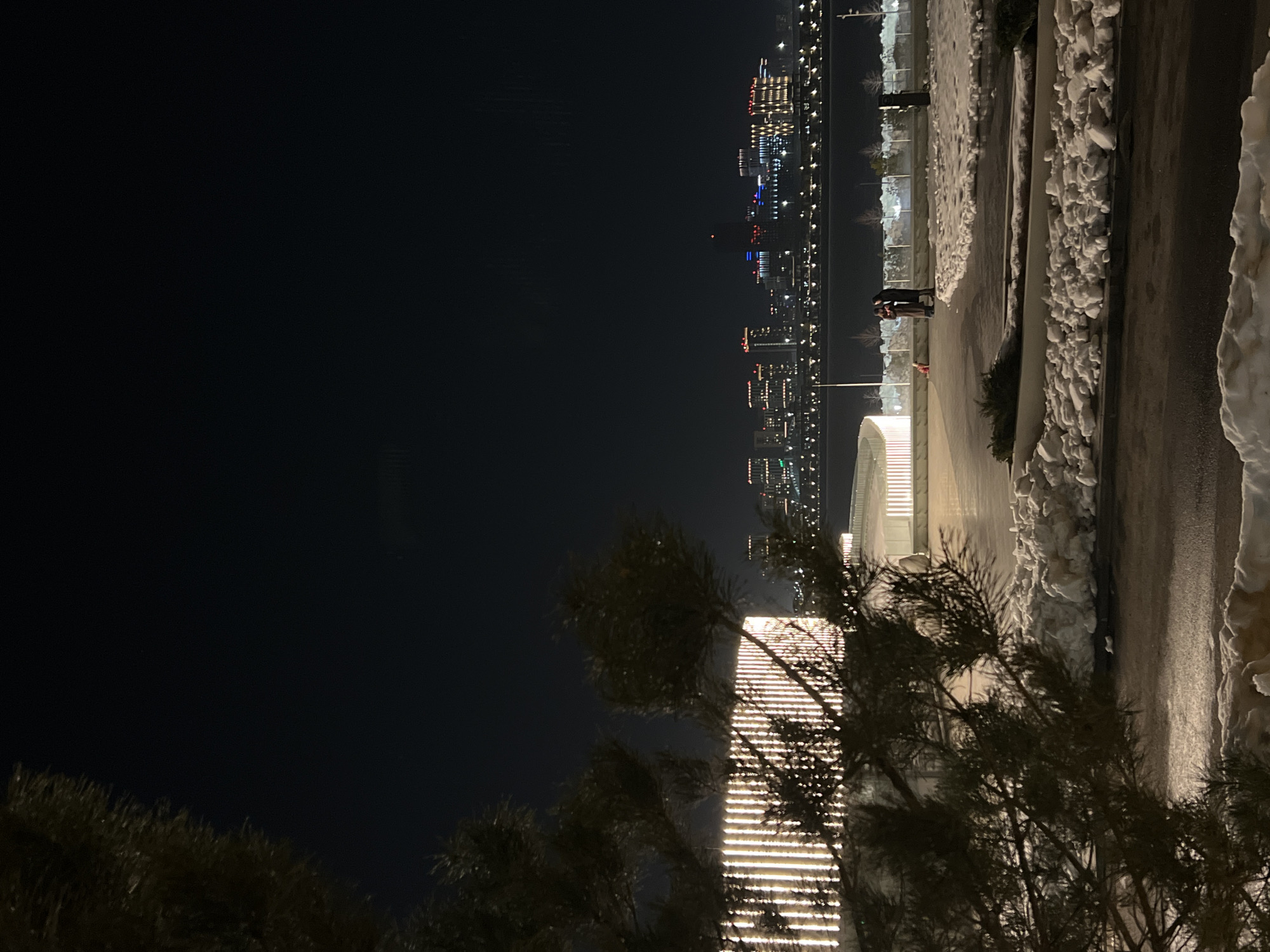 The image displays a nighttime winter scene on the Kazan Kremlin Embankment in Kazan, Russia, looking northeast across the Kazanka River. Dark green pine branches partially obscure the left foreground. The immediate ground consists of dark paved areas with scattered piles of white snow. A modern, curved structure, illuminated by numerous vertical white and warm yellow light strips, occupies the left-midground. On a paved walkway in the center-midground, two individuals stand close together; one appears to be viewing a mobile device. A small, reddish-brown dog on a leash is positioned to their left. Beyond the walkway, the dark surface of the Kazanka River extends across the midground. The opposing riverbank is lined with bare trees and artificial lighting. The background features the illuminated Kazan city skyline, composed of multiple buildings displaying various light colors, including red, blue, and yellow, set against a dark night sky.