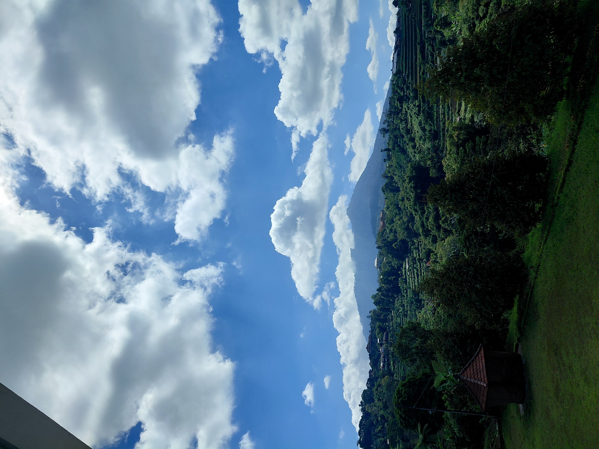 The image captures a scenic view of a lush, green hillside in Baturiti, Indonesia, under a bright blue sky dotted with dramatic, puffy white clouds. The foreground features a well-maintained grassy lawn with a small, dark-colored structure topped with a red tile roof situated on the left side. Beyond the lawn, the landscape transitions into a dense forest with various trees of different heights.
The hillside is terraced, indicating agricultural activity, likely for farming. Scattered across the terraces and amongst the trees are several buildings, varying in size and architectural style, suggesting a small community or village nestled into the slopes. In the distance, a majestic mountain range rises, partially shrouded in a light mist, adding depth and a sense of grandeur to the scene. The sunlight filters through the clouds, creating a dynamic play of light and shadow across the landscape. There are no people visible in the image.