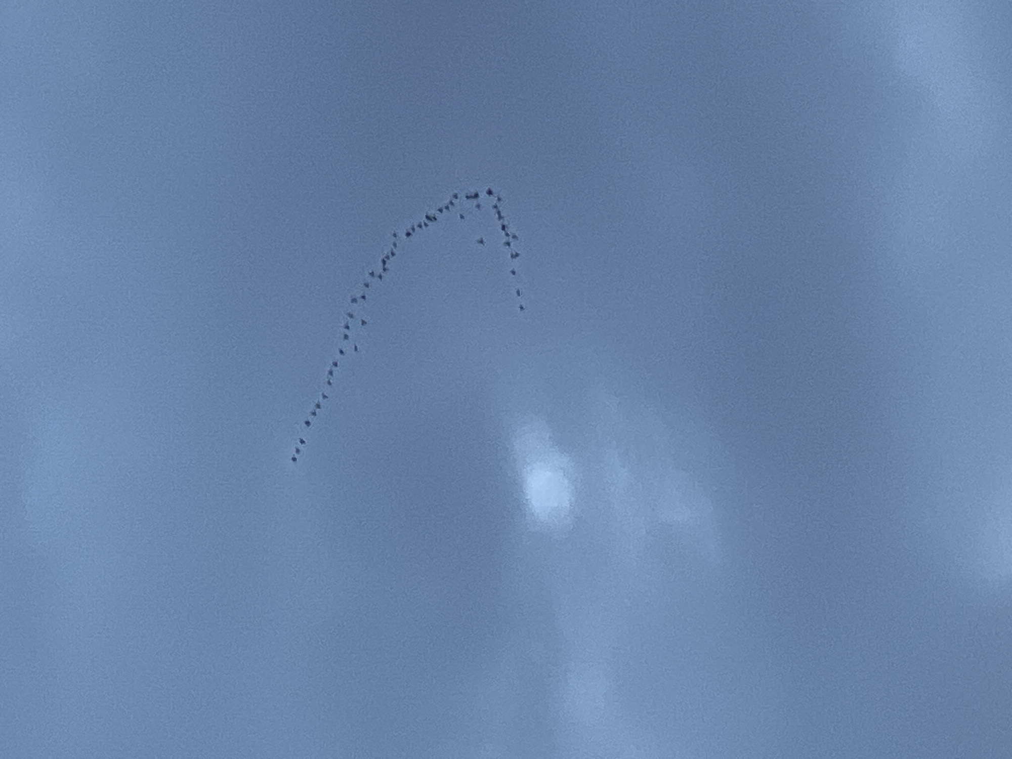 A flock of birds flies in a V-shaped formation against a muted blue sky. The birds are small, dark specks scattered across the frame, with the majority clustered in the formation. A faint, hazy circle of light, possibly the sun obscured by clouds, is visible on the left side of the image. The overall impression is of a wide-open, atmospheric sky. The image was taken in Mochishche, Russia.