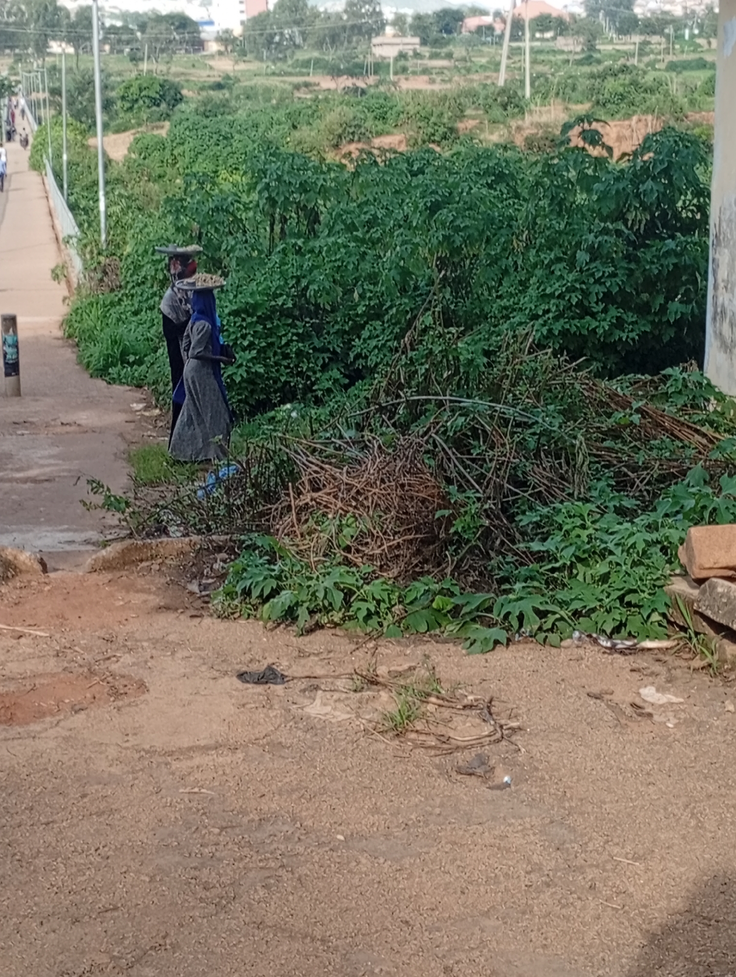 Two individuals, one wearing a dark headscarf and the other a blue hijab, are walking side-by-side on a dirt path adjacent to a dense green embankment. Both are carrying large, flat baskets filled with goods on their heads. The person in the headscarf is wearing a dark garment, and the person in the hijab is wearing a grey dress. The path is unpaved and rough, with some scattered debris including a black plastic bag. Behind them, the embankment is overgrown with thick foliage and tangled branches. In the background, a bridge or walkway with a metal railing can be seen, with a few people walking on it. Further in the distance, buildings and power lines are visible, suggesting an urban or semi-urban environment. The overall scene depicts daily life and commerce in a location like Rafin Par, Nigeria, with people engaged in carrying goods for sale or transport.