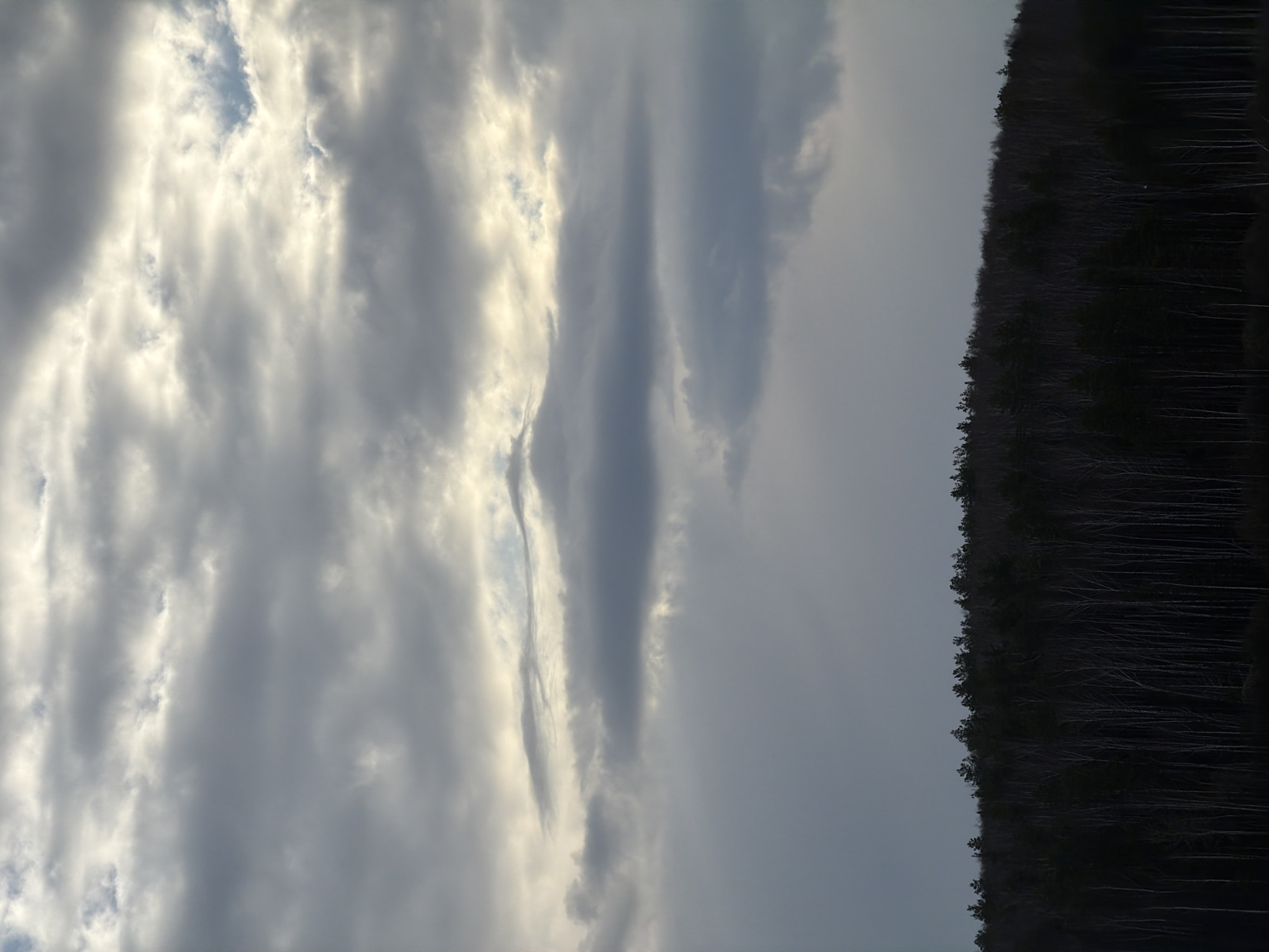 The image shows a landscape with a dense forest on the right side, and a sky filled with gray and white clouds on the left. The clouds are varied in shape and density, with some areas showing patches of blue sky. The forest is dark and appears to be predominantly coniferous. The location is Chaikovsky, Russia.