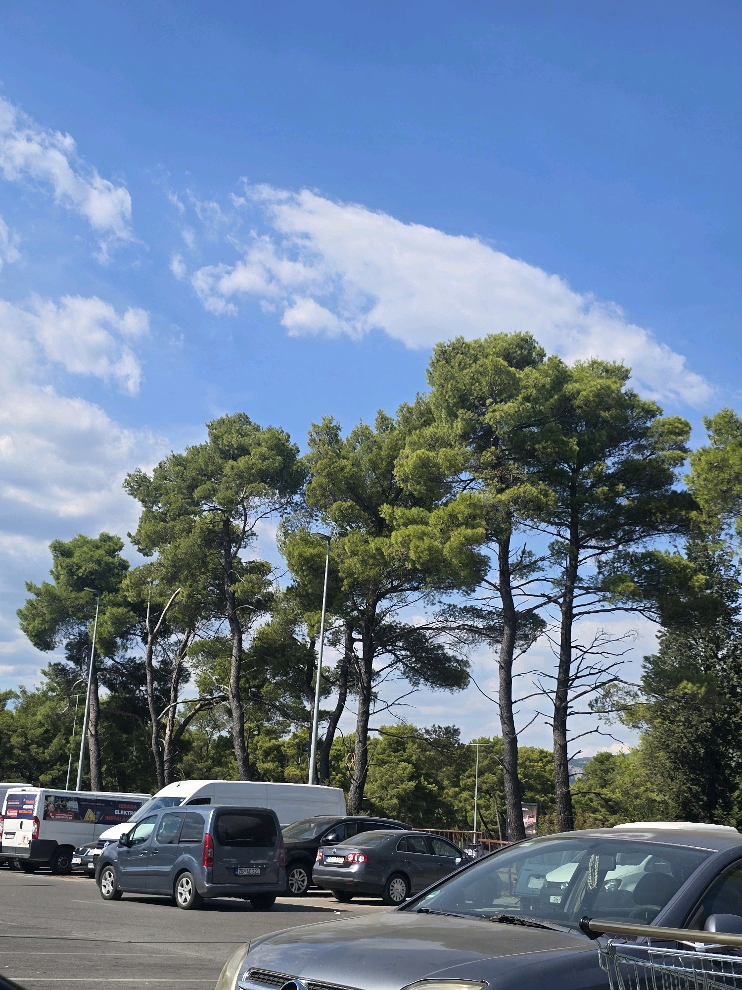 The image depicts a parking lot in Podgorica, Montenegro, on a sunny day with scattered clouds. Tall, green pine trees with bare branches are prominent in the background, interspersed with streetlights. Several vehicles are parked in the lot, including white vans, a dark grey minivan, and other cars. The ground is paved asphalt. The sky is a clear blue with fluffy white clouds. A shopping cart is visible in the foreground, partially obscuring a grey car. No people are visible in the image.