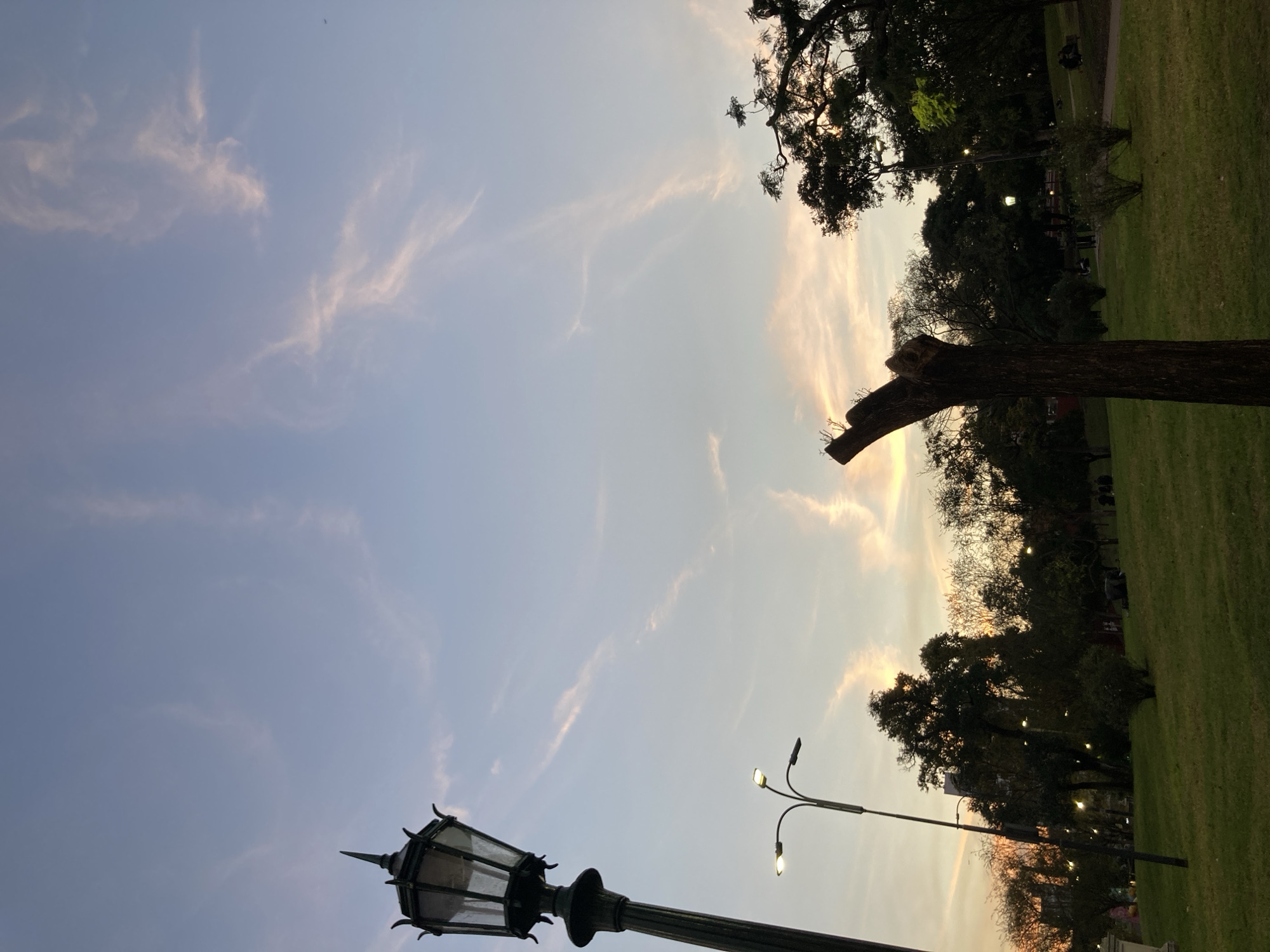 The image depicts a park scene at dusk in Buenos Aires, Argentina. The sky is a pale blue with streaks of pale orange clouds. The foreground contains a black, ornate lamppost, while the midground features a severed tree trunk and modern street lights. Trees with dark foliage line the background, with a glimpse of green lawn visible. The overall scene suggests a peaceful evening in a city park.