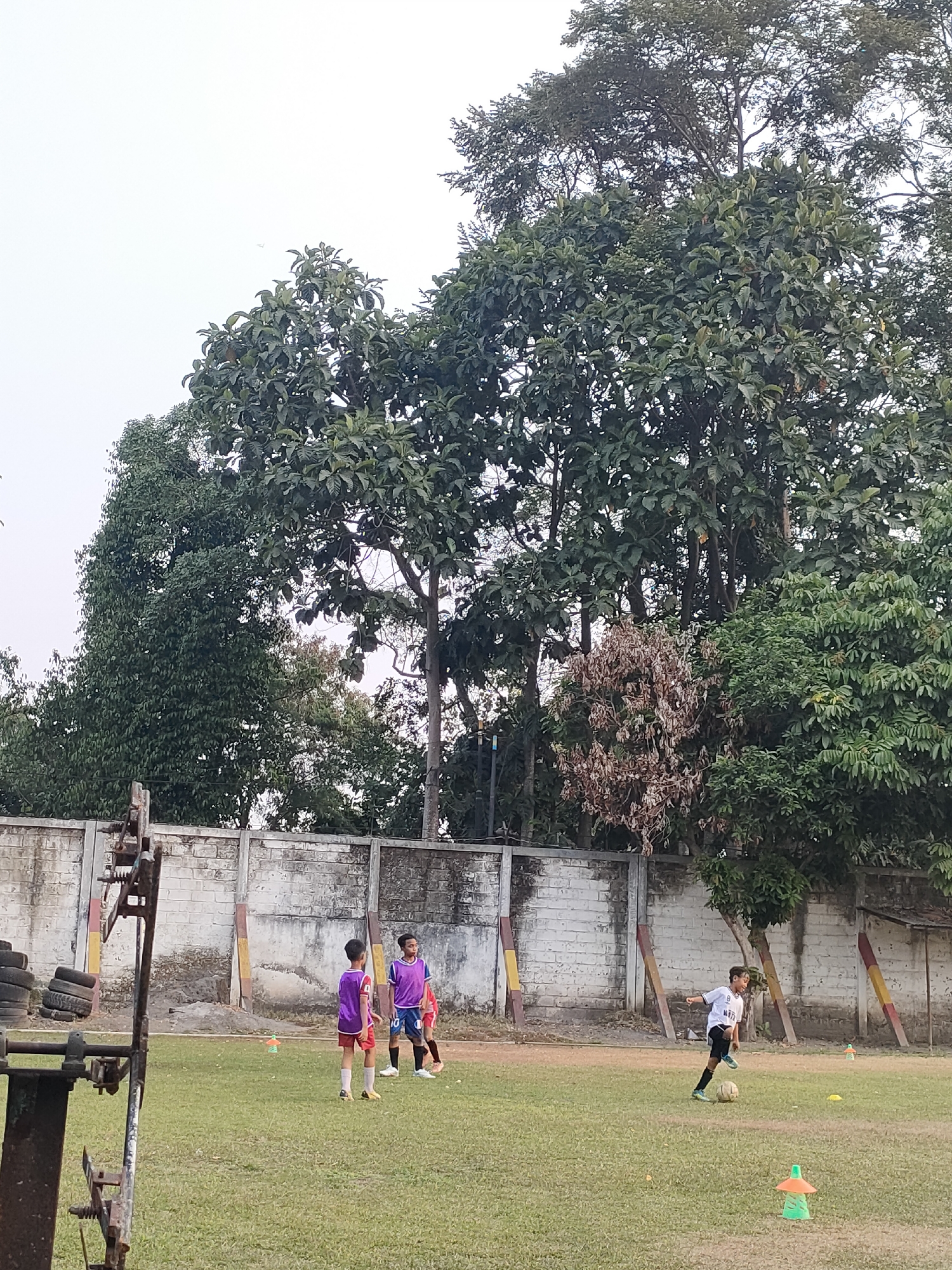 This image depicts an outdoor football field in Banguntapan, Indonesia. In the foreground, a rusty piece of industrial equipment, possibly part of a training apparatus, stands to the left. The field itself is covered in green grass, with scattered orange and green cones marking training areas. Three young boys are engaged in a football activity. One boy, wearing a white jersey with the number 10 and black shorts, is dribbling a football. Two other boys, one in a purple vest and red shorts, and another in a purple vest and blue shorts, are also present on the field. In the background, a white brick wall runs horizontally, with some colorful vertical posts attached. Behind the wall, a dense line of trees with lush green foliage forms a natural backdrop. The sky is overcast.