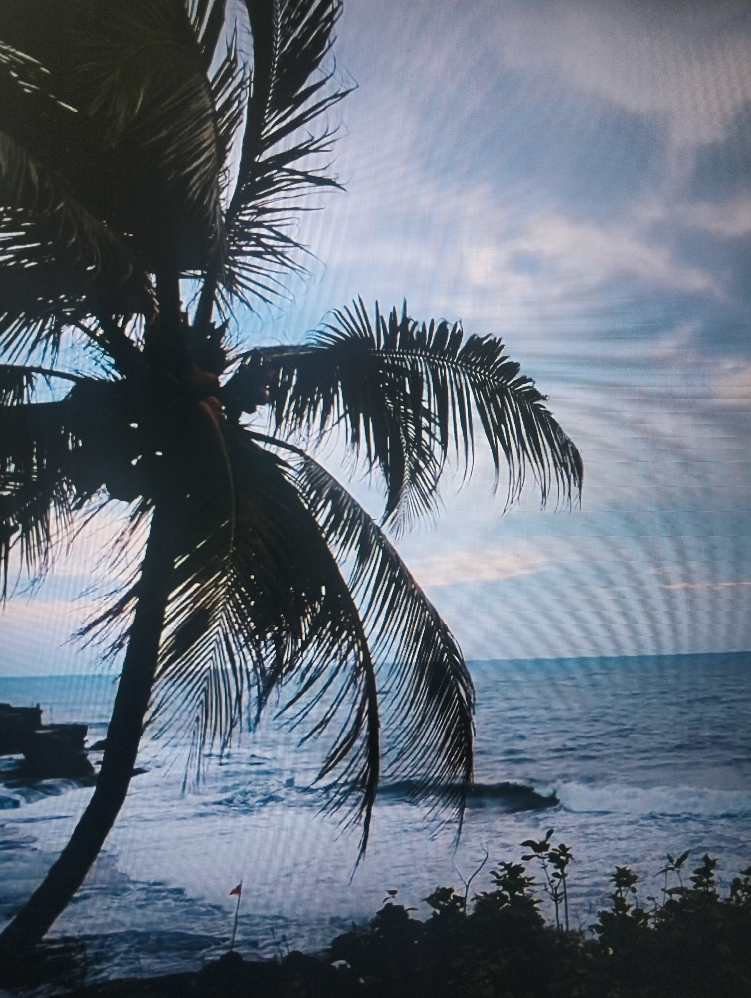 The image shows a palm tree in silhouette against a cloudy sky over the ocean. The ocean is rough with whitecaps. In the foreground, there are some dark bushes and a small red flag on a pole. In the distance, on the left side of the image, there are some rocky formations near the water's edge. The overall scene depicts a tropical coastal landscape. There are no people visible in the image. The image quality is poor and pixelated.
