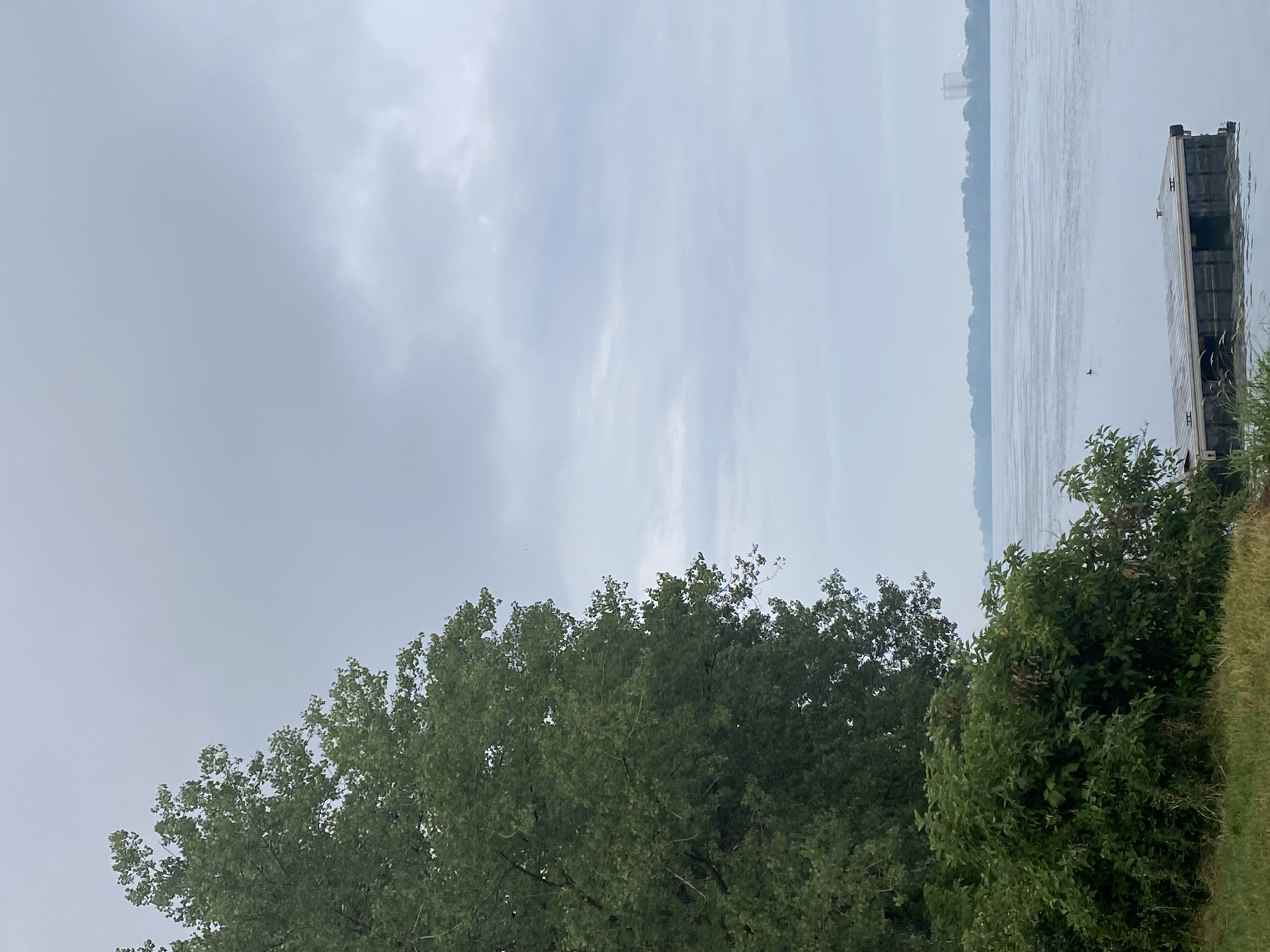 A muted, overcast day frames a tranquil scene on a wide body of water, likely a river or lake. In the foreground, lush green foliage and grass carpet the bank. A large, leafy tree dominates the left side of the frame, its dense canopy creating a dark, verdant mass. To the right, a simple wooden dock floats on the water's surface, its weathered planks and metal cleats visible. A solitary bird can be seen swimming in the distance. Across the water, a hazy shoreline is discernible, punctuated by the silhouette of distant trees and what appears to be a tall, modern building. The overall atmosphere is one of quiet solitude and natural beauty, typical of outdoor spaces in and around Montreal, Canada, during the summer months.