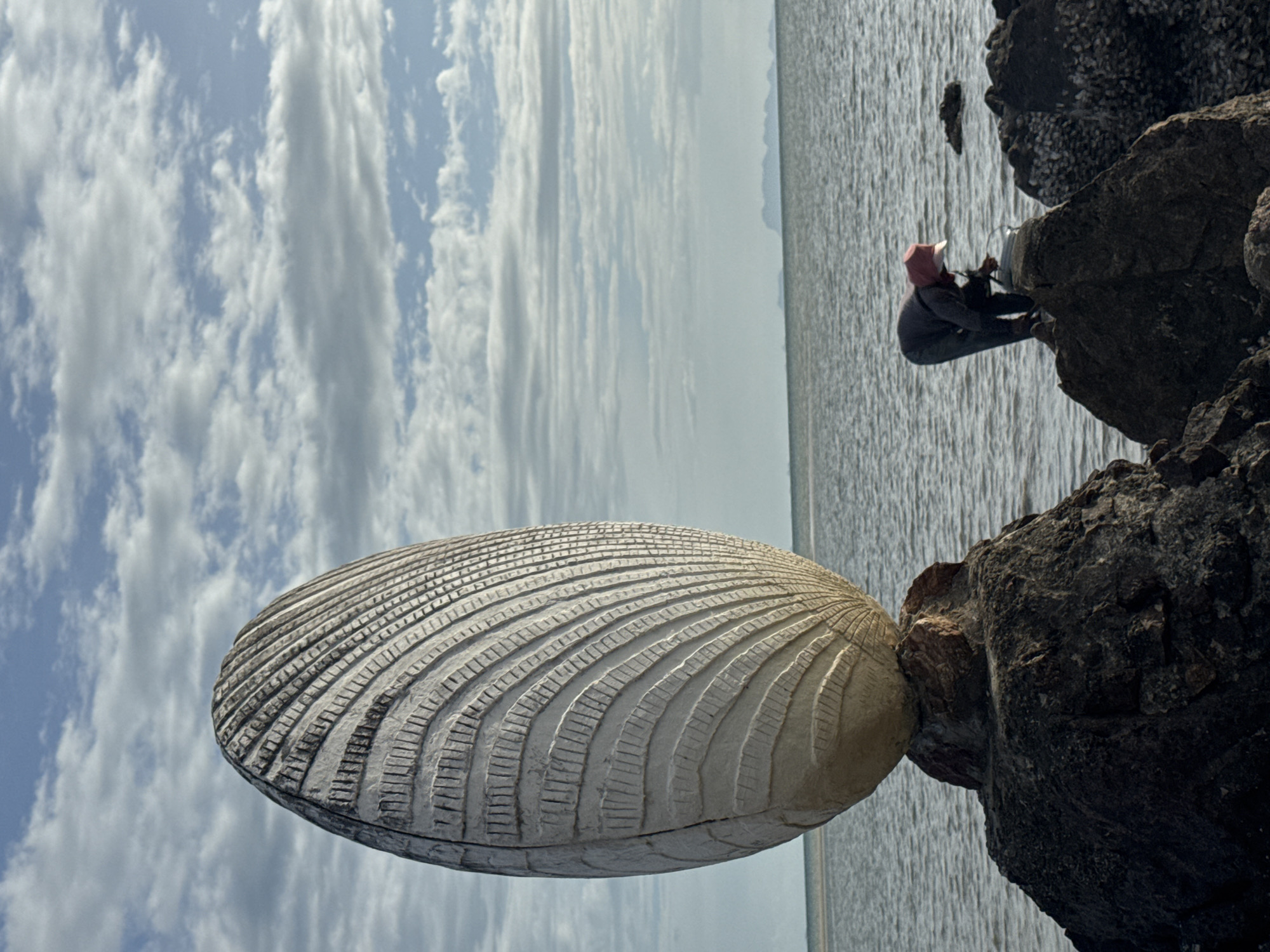 A person wearing a pink cap, gray long-sleeved shirt, and dark pants is bending down on a rock near the water's edge. The person appears to be reaching towards something on the rock. To the left of the person, a large, oval-shaped sculpture with textured grooves stands on top of several dark rocks. The sculpture is white and resembles a shell. The background shows the ocean under a sky with scattered clouds. The scene is located in ตำบลเกาะพะงัน, Thailand.