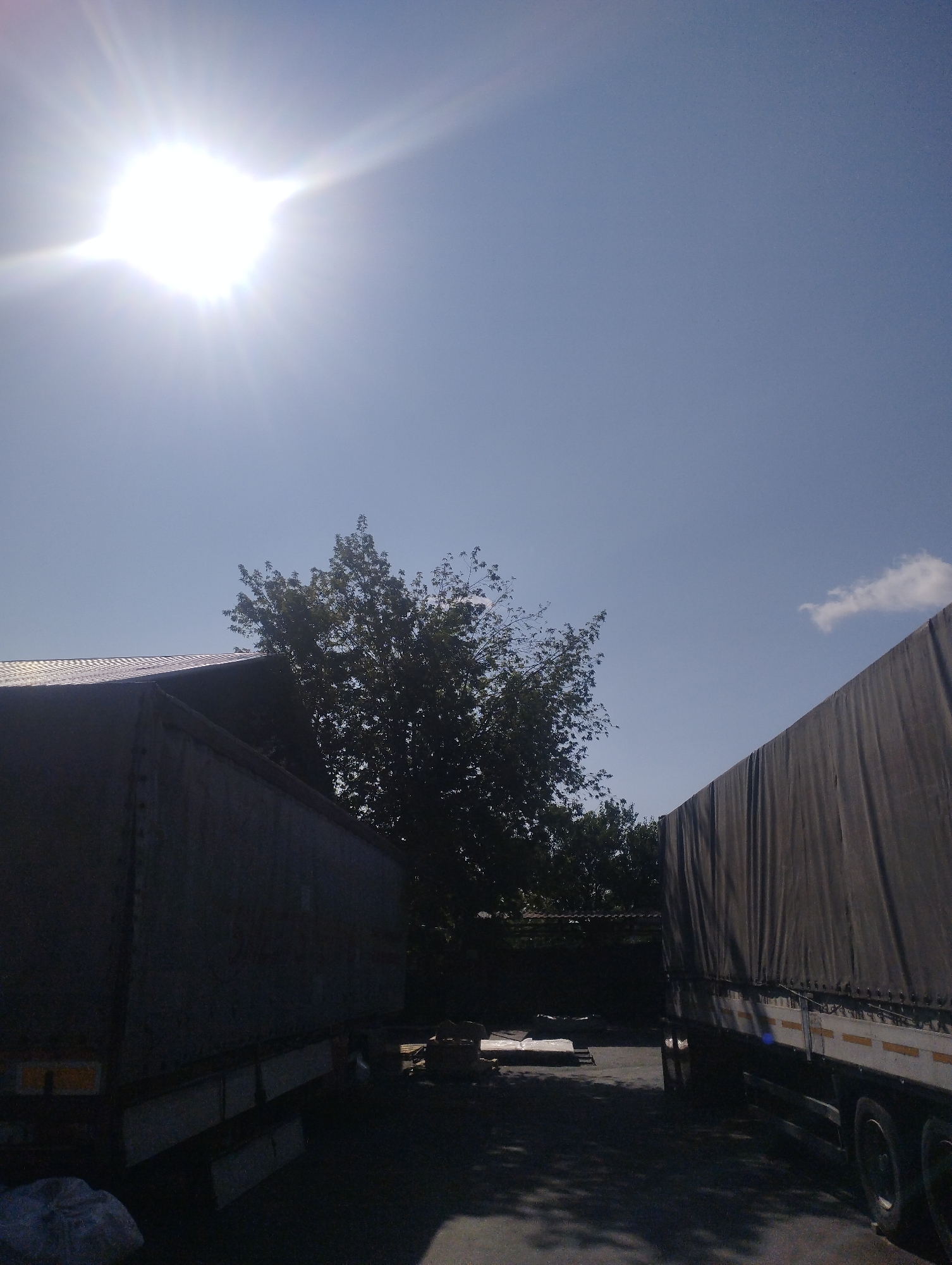 The image shows an outdoor scene on a sunny day, likely in Homyel, Belarus, with a clear blue sky. Two large trucks, one on the left and one on the right, are parked side-by-side, their cargo areas covered by grey tarps. The truck on the left is partially obscured by a building's roof. In the background, a large tree with green foliage stands between the trucks. The sun is high in the sky, casting bright light and some lens flare. A small, wispy cloud is visible in the upper right quadrant of the sky. The ground appears to be asphalt or a similar dark, paved surface. There are no people visible in the image. The scene suggests a storage or loading area, possibly associated with a commercial or industrial facility.
