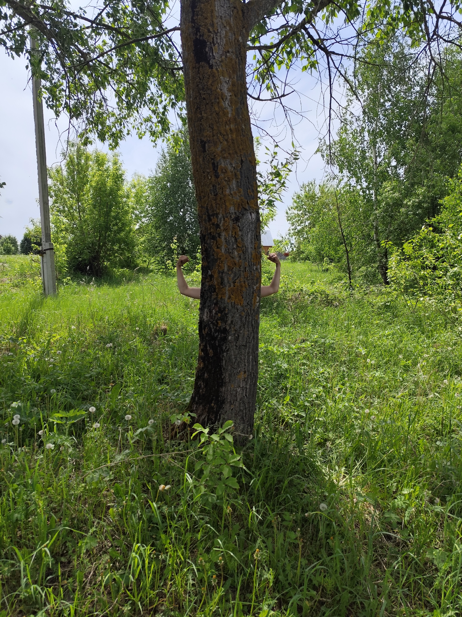 A medium shot captures a grassy scene with a tree in the center. Two human arms extend around the tree trunk. The setting is outdoors in a location with tall grass and sporadic trees, possibly in Фоки, Russia. A utility pole is visible in the background.