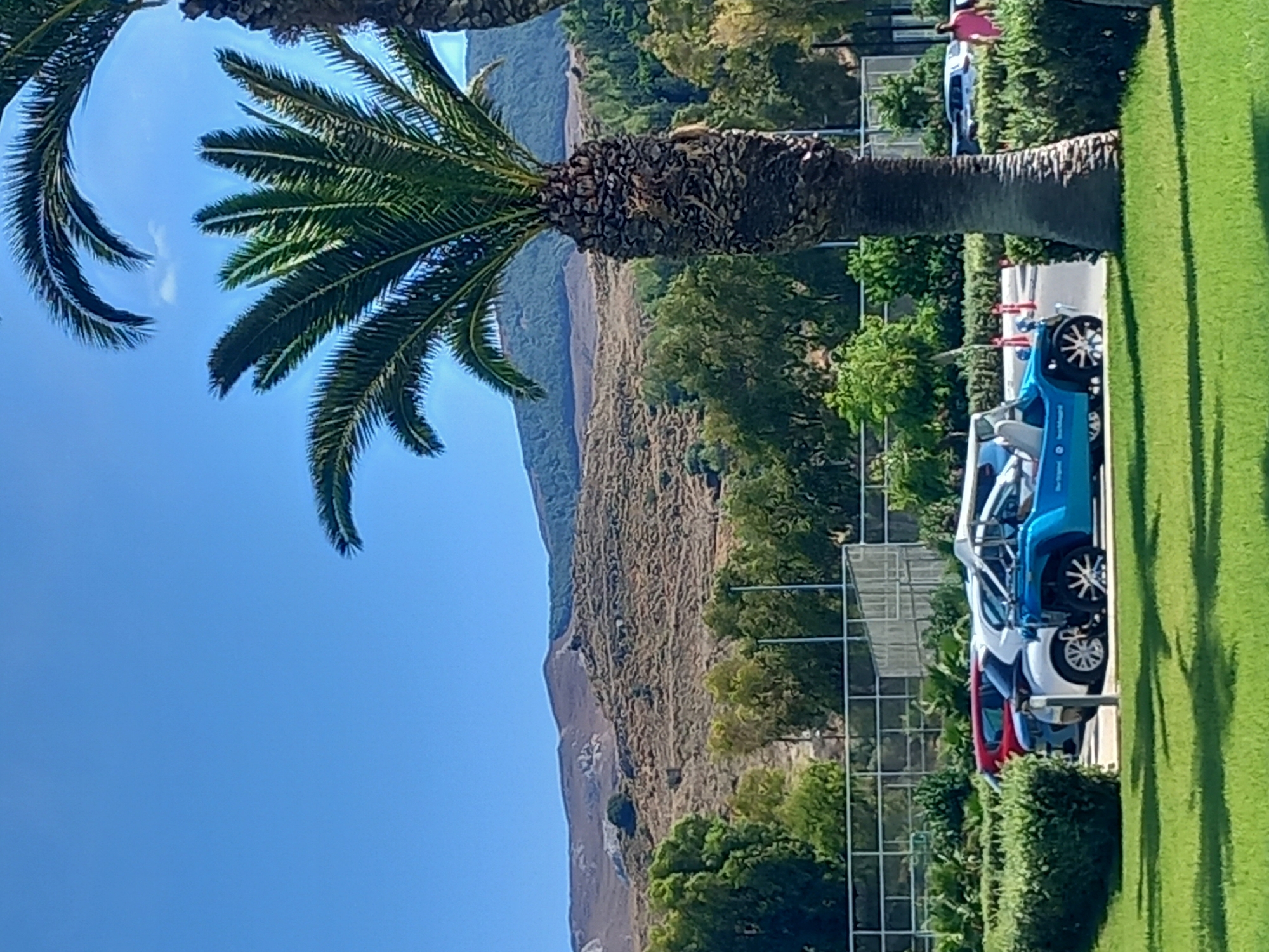 The image depicts a sunny day in the city of Kos, Greece, likely in a park or recreational area. In the foreground, a well-maintained green lawn is visible. Behind the lawn, there's a row of manicured green bushes. Several parked vehicles are present, including a red car, a white car, and a distinctive blue open-top buggy. The buggy has a roll cage and prominent wheels with decorative spokes. Further back, a chain-link fence with white posts borders the area, behind which are trees and some buildings. In the distance, a gently sloping, arid hillside with sparse vegetation and rocky outcrops rises against a clear blue sky. Two large palm trees are prominent in the image, one in the mid-ground and another partially visible on the right edge. A person in a pink shirt is walking on the right side of the image, near the palm tree. The overall scene suggests a tranquil outdoor setting in a warm climate.