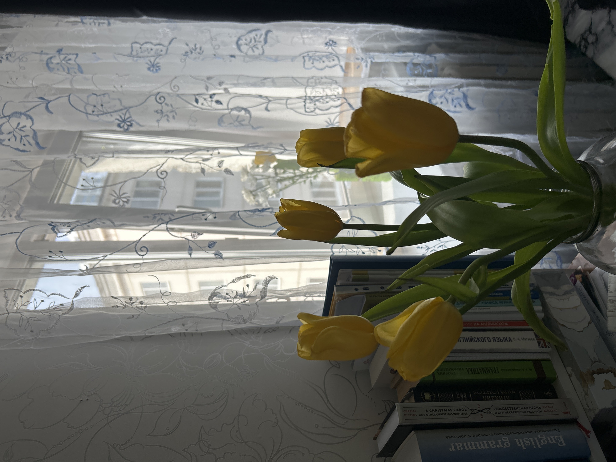 This image depicts an indoor scene within a room located in the city of Unknown, Unknown, with a view through a window to an exterior urban environment during daytime. In the foreground, a transparent glass vase contains a bouquet of at least five vibrant yellow tulips with green stems and leaves. To the immediate left of the vase, a white bookshelf is visible, densely populated with books, including titles such as "English grammar," "A Christmas Carol and Other Christmas Writings," and books with Cyrillic script, including one titled "ГРАММАТИКА" (Grammar). A flat surface, possibly a table or desk, is partially visible beneath the bookshelf and vase.
The midground features a window covered by sheer white curtains adorned with blue embroidered floral and vine patterns. Through these translucent curtains, a multi-story, light-colored building with multiple windows is visible, indicating an adjacent structure. Faintly visible on the exterior windowsill or a nearby interior surface is a secondary bouquet of white flowers, resembling chrysanthemums. No individuals are present in the scene.