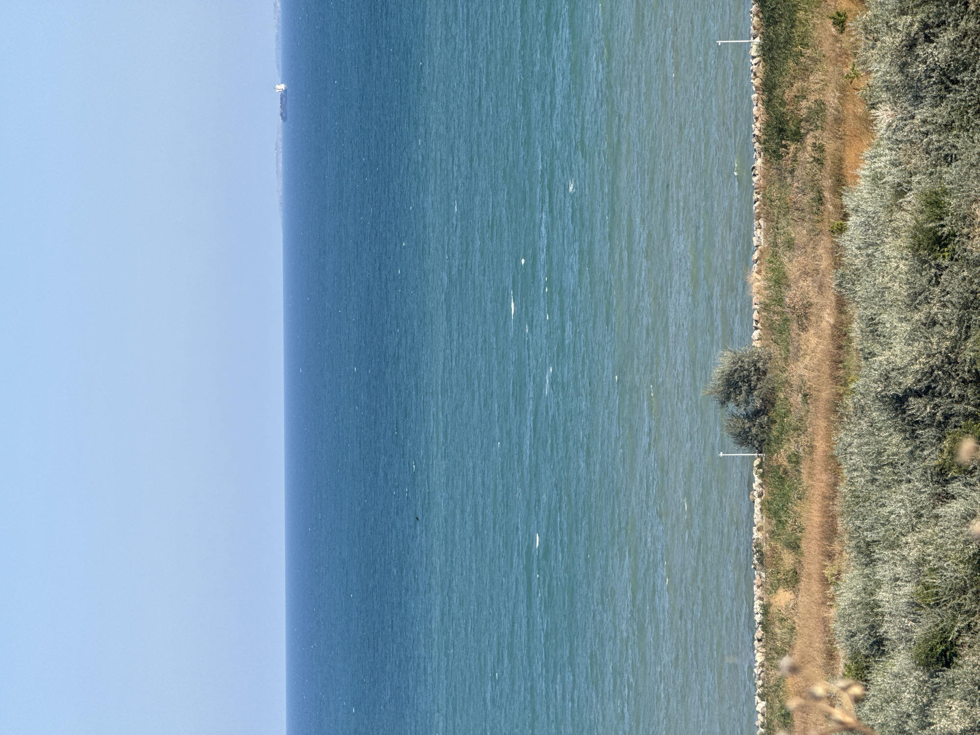 The image depicts a panoramic view of the sea and coastline. The sky is a clear, pale blue, meeting the deep blue sea at a distinct horizon line. The sea itself is a gradient of blues and greens, with small whitecaps indicating a gentle breeze. In the distance, a large white cargo ship is visible on the horizon.
The foreground shows a strip of land. A low wall made of natural stones runs horizontally across the mid-ground, separating the water from the terrestrial landscape. Behind the stone wall, there is a mix of dry, golden grasses and some green vegetation. Further in the foreground, there are lush, grey-green bushes and some dry, wispy plants, suggesting a somewhat arid environment. A single white pole, possibly a marker or a light, stands vertically near the stone wall on the right side of the image. There is a lone, small tree with sparse foliage positioned just above the stone wall. The overall impression is of a coastal area, possibly a nature reserve or undeveloped stretch of coastline, given the natural vegetation and the presence of the stone wall as a breakwater or boundary. Based on the description of the scene, it is consistent with the coastline of Burgas, Bulgaria, a city known for its extensive beaches and proximity to the Black Sea.