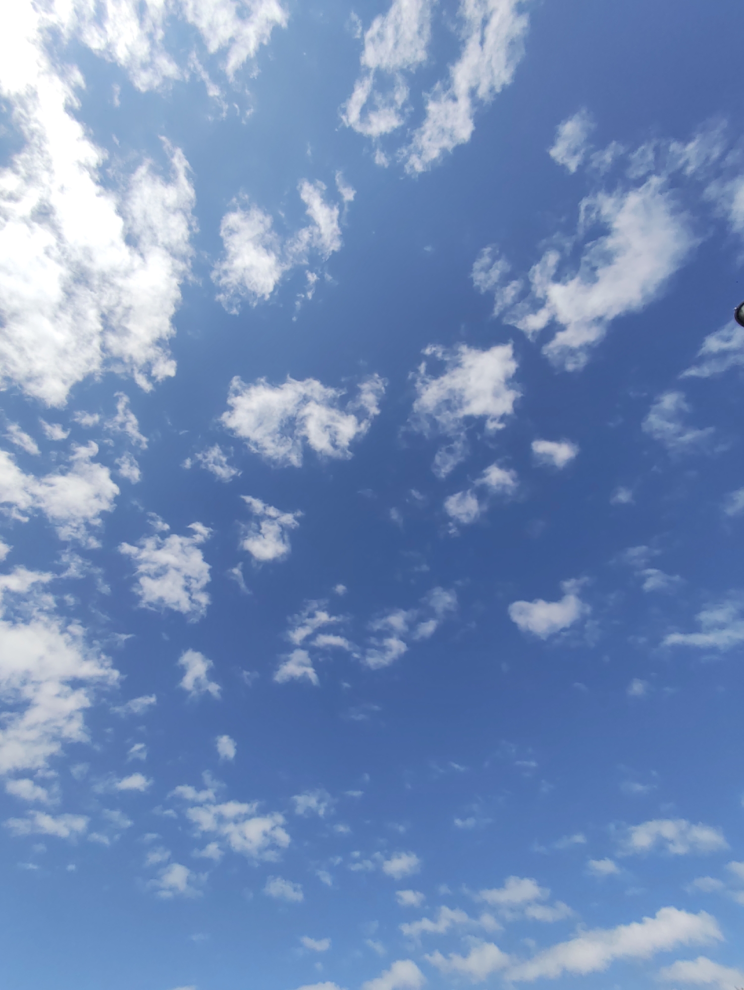 The image shows a bright blue sky dotted with fluffy white clouds. The perspective is from below, looking upwards. There is a dark, spherical object in the upper right corner of the image, partially visible. The scene appears to be outdoors, with no visible landmarks or structures to identify a specific city or location within Police, Poland. The weather appears to be clear and sunny.