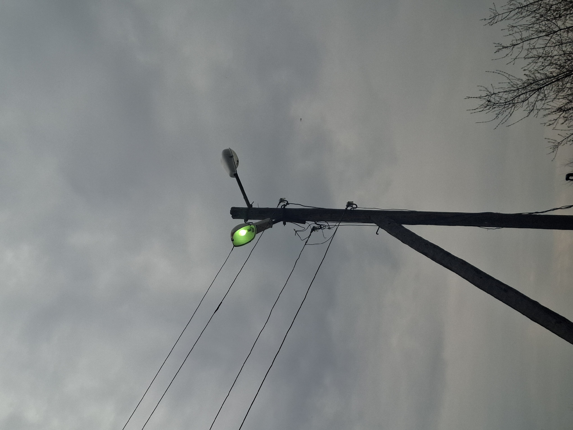 The image presents a low-angle view looking upwards at a utility pole and overhead wires against an overcast, grey sky. No people are visible in the frame.
The main subject is a dark utility pole, possibly wooden, positioned diagonally from the lower right towards the upper left. Attached to this pole are two streetlights. The lower streetlight is actively glowing with a distinct green light, while the upper streetlight appears to be unlit. Multiple dark utility wires extend from the pole, running diagonally across the central and lower-left portions of the image. In the upper right corner, the intricate, bare branches of a deciduous tree are silhouetted against the cloudy sky.
The scene captures an outdoor setting, likely a residential or rural area in Khlevnoye, Russia, characterized by its infrastructure and natural elements. The weather is heavily overcast, indicated by the uniform grey cloud cover, suggesting a dull day, or possibly dusk or dawn given the illuminated green streetlight. There is no specific activity or event taking place, as it's a still photograph of an inanimate scene. No visible text is present in the image. The overall impression is one of calm, with the green light providing a notable focal point against the muted backdrop.