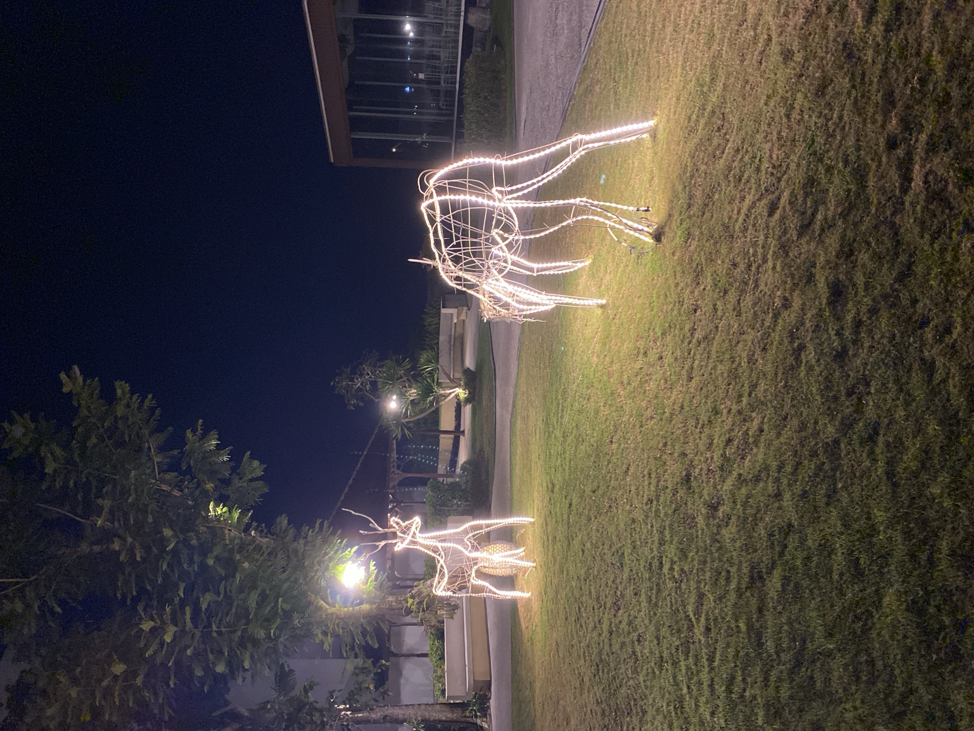 In the city of Kuta Selatan, Indonesia, at night, two illuminated wireframe reindeer sculptures stand on a grassy lawn. The sculpture on the left is a standing reindeer facing left, with its body and antlers outlined in white lights. A light pole with a bright bulb is visible behind and to the left of this sculpture, illuminating the surrounding area. The sculpture on the right is a reindeer with its head lowered as if grazing, also outlined in white lights, and is positioned to the right and slightly behind the first reindeer. The lawn is well-maintained and appears to be part of an outdoor recreational area. In the background, a modern building with a dark facade and large glass windows is visible, reflecting the night sky and some interior lights. Trees and other greenery are scattered throughout the scene, and a covered seating area can be seen further in the background. The overall ambiance is festive and decorative, suggestive of a holiday or special event.