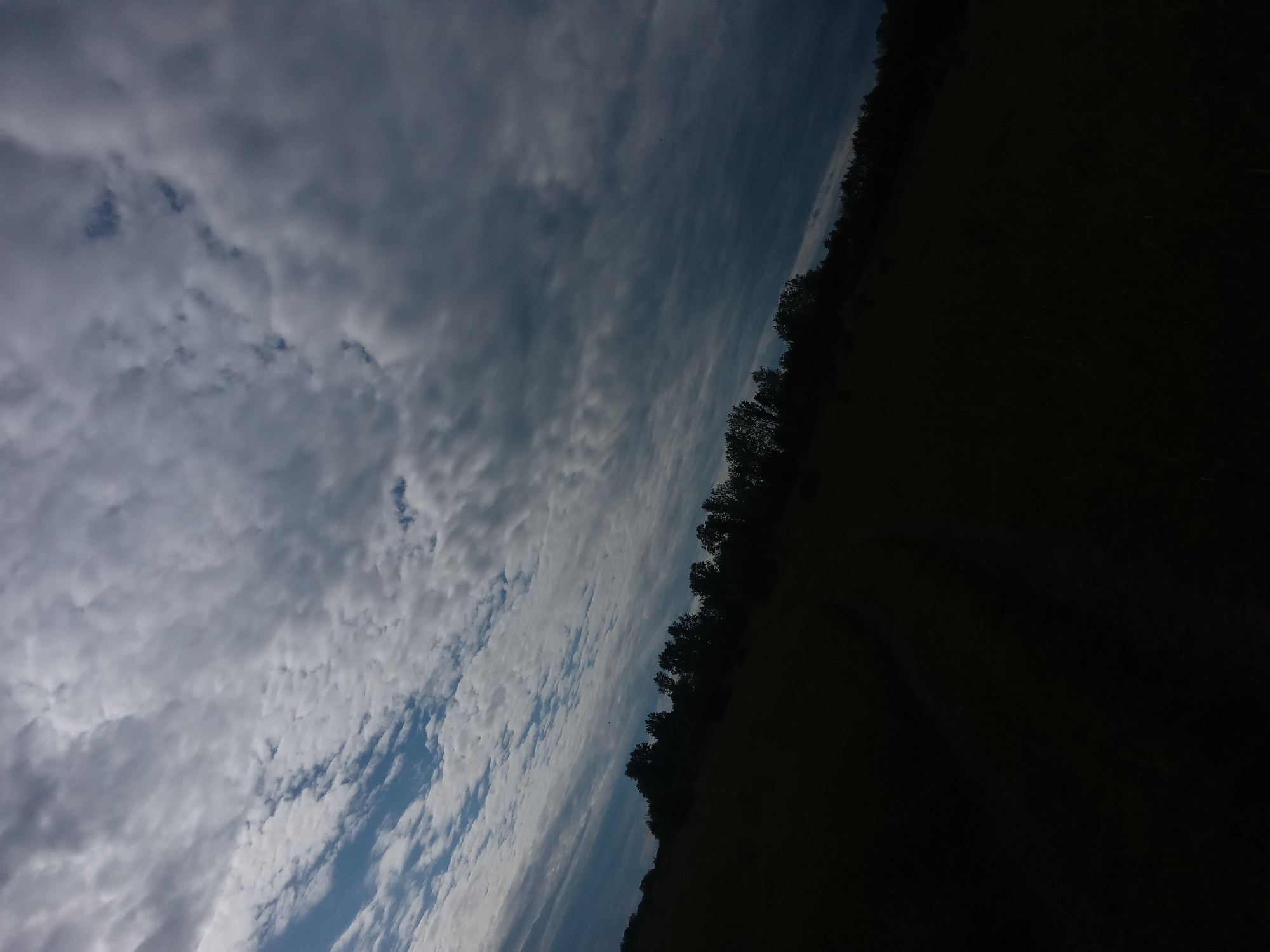 The image displays an expansive sky largely filled with clouds, with a dark, underexposed landscape forming the horizon line. The scene appears to be an outdoor, natural environment, possibly rural or semi-rural.
The upper portion of the original (when rotated upright) is dominated by the sky, which exhibits a variety of cloud formations. Towards the left, there are dense, fluffy, and somewhat fragmented cumulus clouds, indicating patches of blue sky interspersed between them. Towards the right and center, the clouds appear more stretched and layered, resembling altocumulus or stratocumulus, with distinct streaks and patterns. The overall cloud cover ranges from bright white to various shades of gray, suggesting a partly cloudy to mostly cloudy day.
Below the sky, running horizontally across the bottom third of the image, is a dark silhouette of a treeline and what appears to be a field or open land. This lower portion is significantly underexposed, appearing almost black, with very little detail visible. The trees form a jagged edge against the lighter sky, but their individual shapes are mostly indistinguishable due to the lack of light.
There are no visible people, animals, or man-made objects other than the implied natural landscape. No specific activity is taking place. The lighting suggests it is daytime, but the dramatic contrast between the bright sky and dark ground could imply early morning or late afternoon, or simply heavy cloud cover obscuring direct sunlight on the lower elements. There is no visible text in the image.