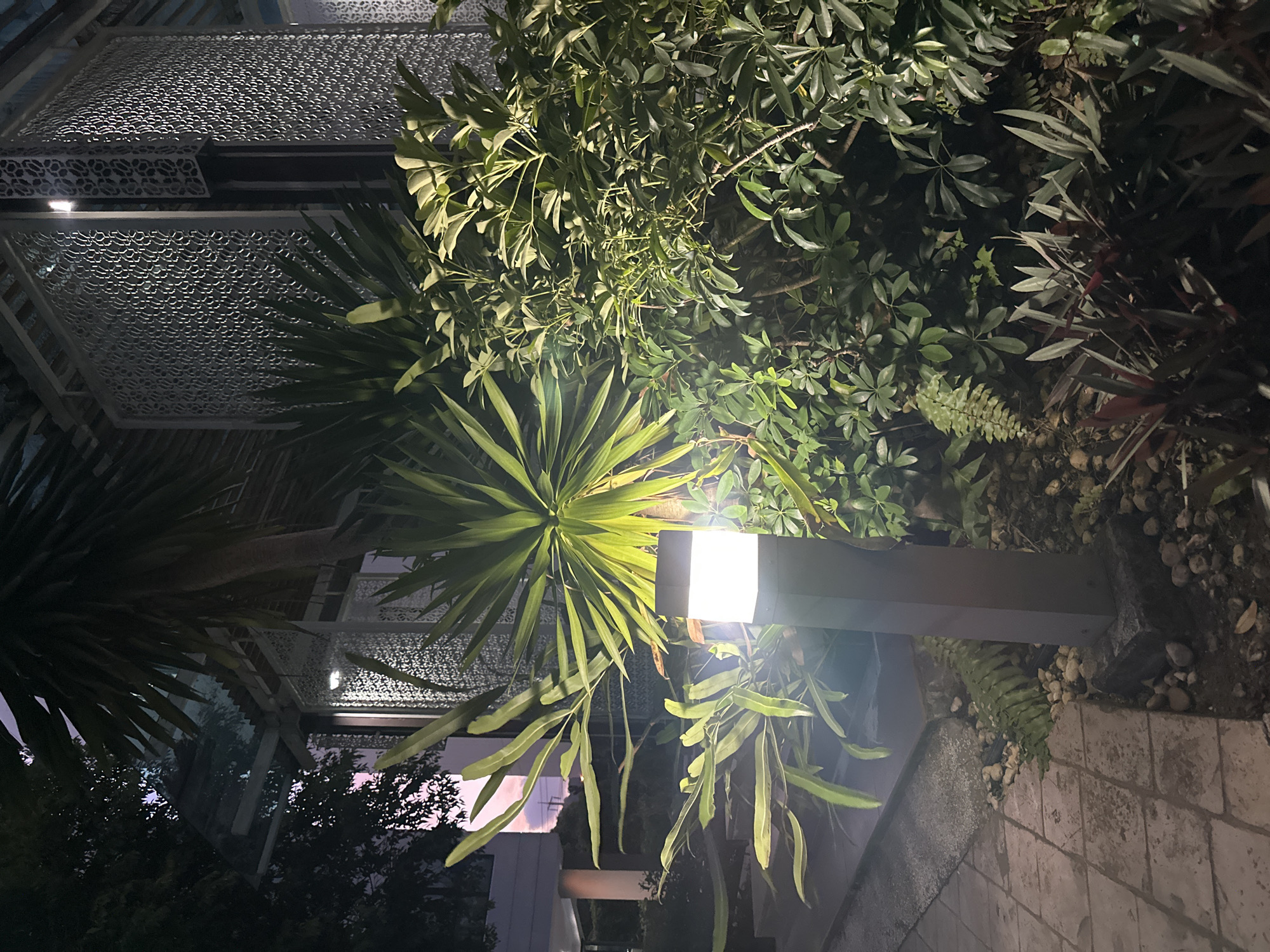 The image depicts an outdoor scene at dusk, likely in Wichit, Thailand, with a pathway leading past lush foliage and a modern structure. In the foreground, a tall, rectangular-shaped outdoor lamp emits a bright white light, illuminating the surrounding plants and paving stones. To the left of the lamp, a tiled pathway is visible, transitioning to gravel and stones. Various plants, including a large Yucca-like plant with spiky green leaves, various leafy green shrubs, and some reddish-purple foliage at the bottom right, are prominent. In the background, a contemporary building with intricate, patterned metal screens is partially visible, suggesting a commercial or residential area. The sky above shows the transition from daylight to evening, with hints of purple and pink hues. No people or animals are present in the scene.