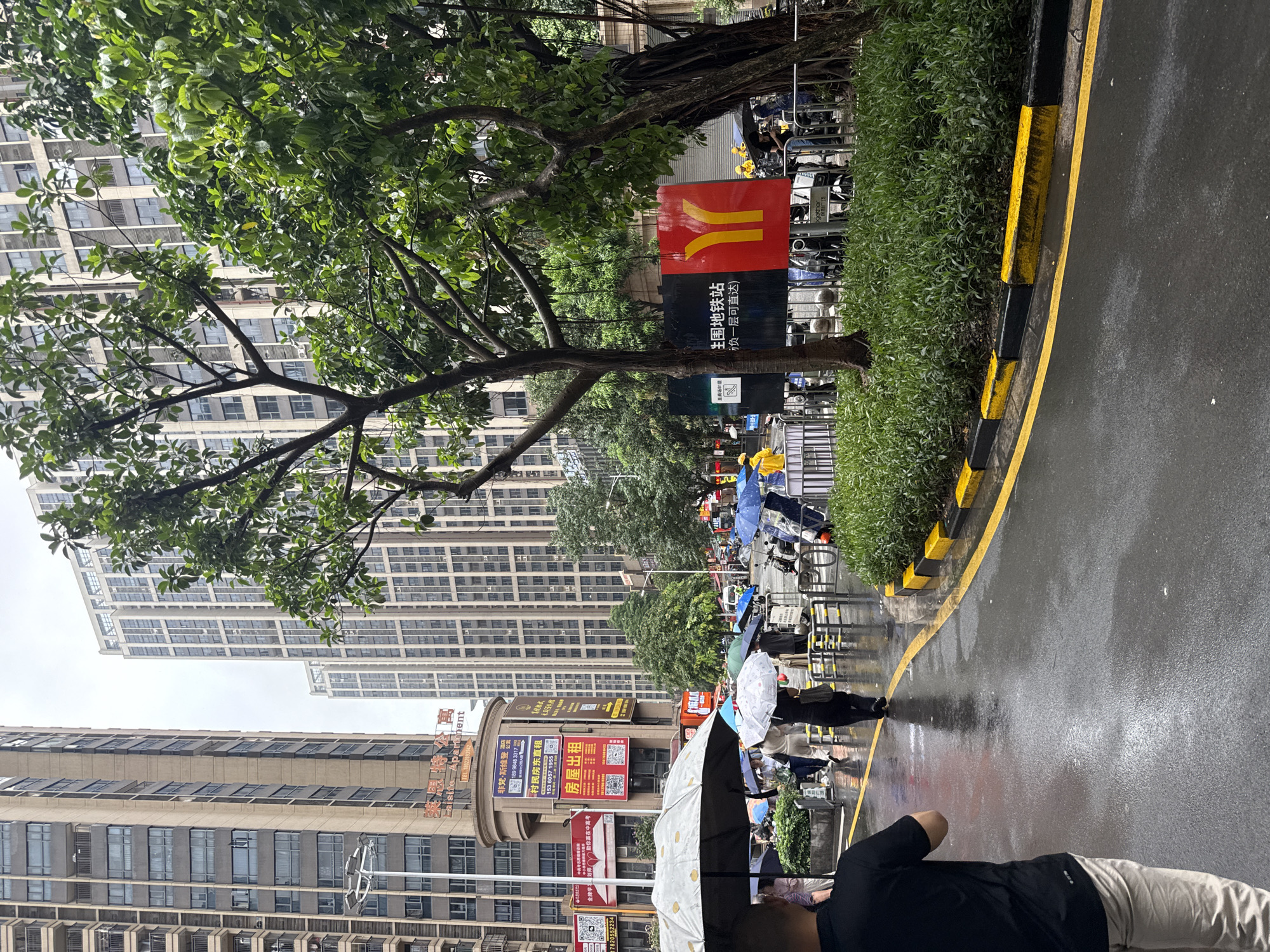 This media file depicts a street scene in Haizhu District, China, on a rainy day. Several people are visible, many holding umbrellas, indicating active movement despite the weather. The scene is set along a wet asphalt road with a distinct yellow and black striped curb. Tall, modern apartment buildings with numerous windows dominate the background, suggesting an urban environment.
Green trees with full foliage line the street, offering a contrast to the built structures. Some of these trees are quite large, with thick branches. A prominent red and yellow sign, likely for a McDonald's restaurant, is visible amidst the greenery and buildings. Other signs with Chinese characters are also present, with one particularly notable sign advertising "房屋出租" (housing for rent) with a phone number.
The overall mood appears to be one of routine activity continuing despite the rain, with no strong emotional cues evident from the figures. The overcast sky and wet ground clearly indicate a cloudy or rainy day, likely during daylight hours given the visibility of the buildings and signs. The presence of what appear to be bicycles or scooters parked behind a fence suggests this may be an area with public transportation or rental options. The combination of residential buildings, commercial signage, and pedestrian activity paints a picture of a bustling urban neighborhood experiencing a wet day.