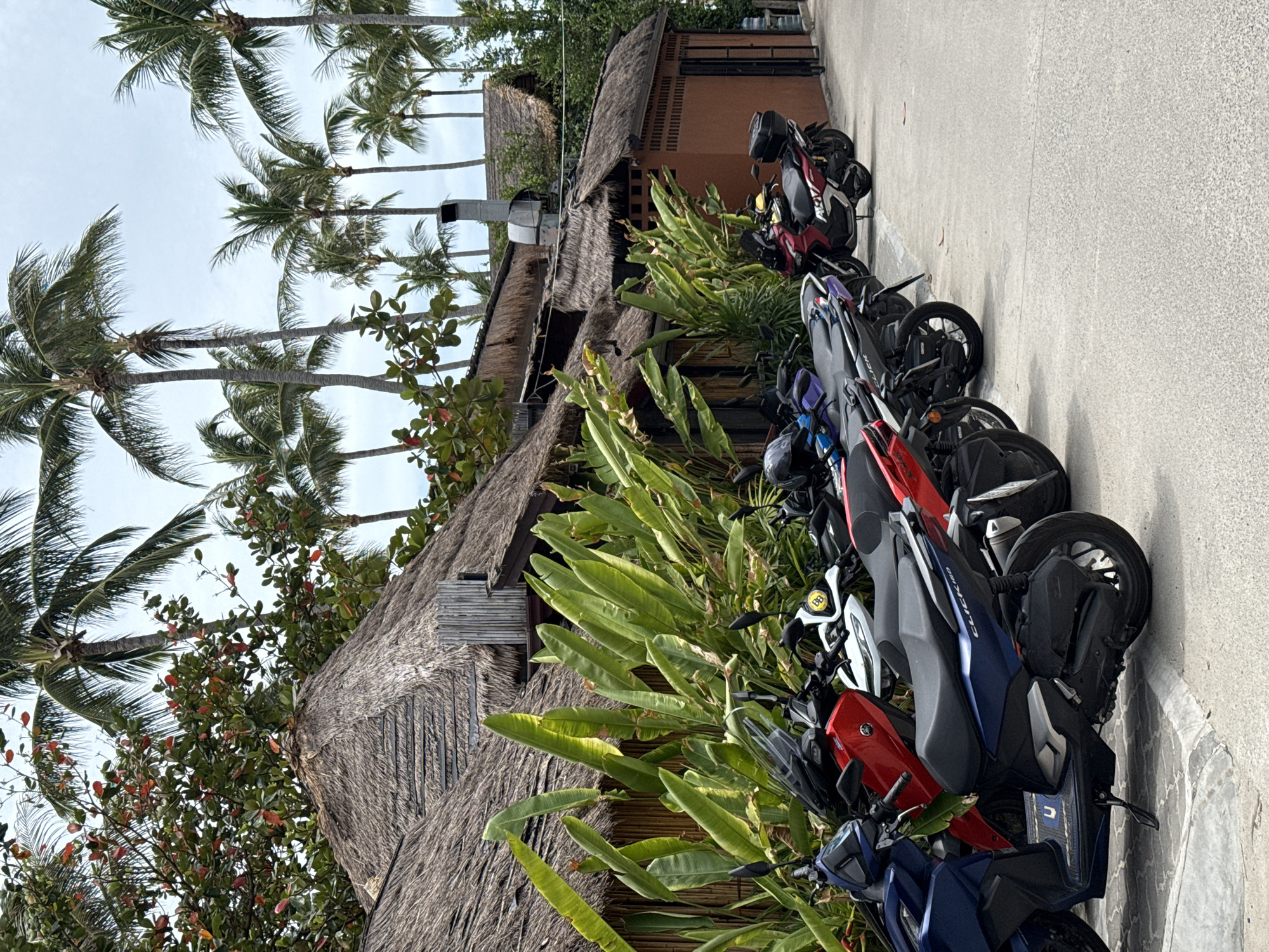 This is a wide shot of a row of parked scooters in front of a building with a thatched roof, likely in a tropical location. The building appears to be a restaurant or resort, with large palm trees and lush green foliage surrounding it. The scooters are of various colors, including blue, red, white, and black, and are parked neatly in a line on a paved surface. The sky is overcast. The scene is peaceful and appears to be undisturbed. The location is likely Ko Samui District, Thailand, given the presence of palm trees and thatched roofs, common architectural features in that region.