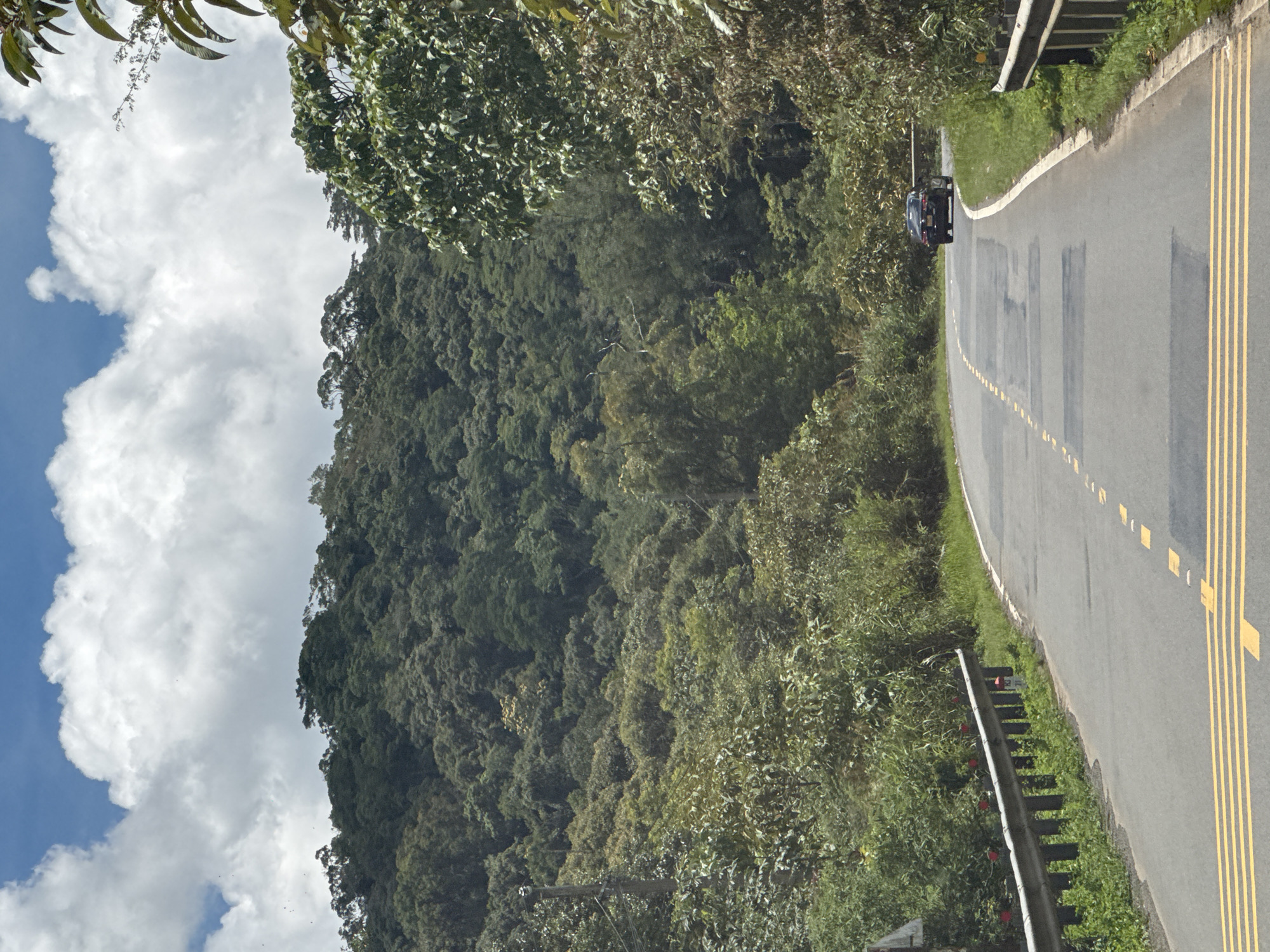 The image depicts a winding asphalt road in a mountainous, forested area, likely in the city of Lac Duong, Vietnam. The road is marked with yellow and white lines, and in the distance, a dark-colored sedan is driving away from the camera. Guardrails line both sides of the road, and dense green vegetation and trees cover the surrounding hills. The sky above is a mix of blue and white clouds. The scene appears to be captured from a moving vehicle.
