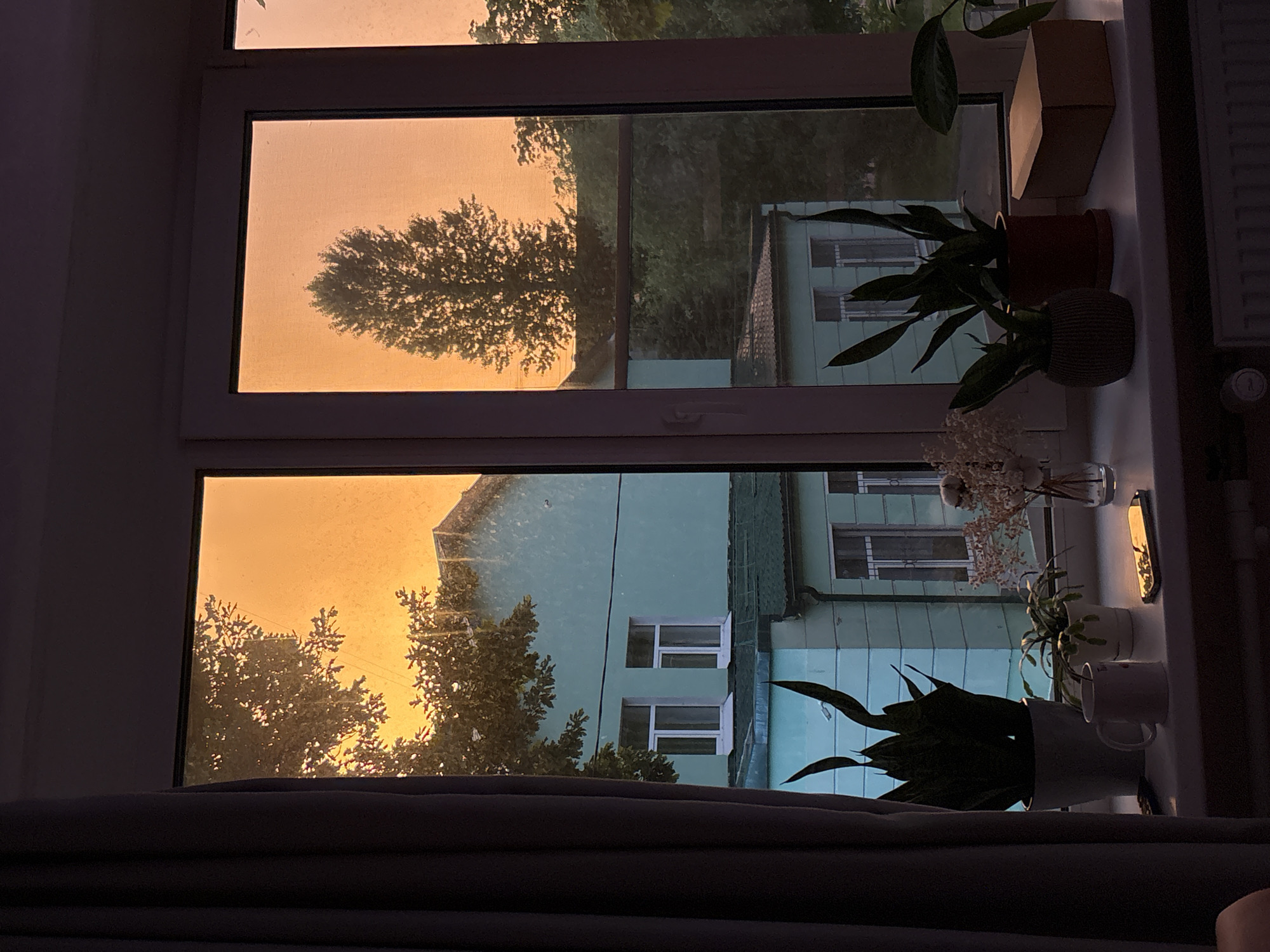The image displays a window view at sunset in Saint Petersburg, Russia. Through the panes, silhouetted trees with intricate branches are visible against a warm, orange sky, suggesting a late afternoon or early evening hour. Beyond the trees, a light blue apartment building with white-framed windows is seen, its facade reflecting the soft, ambient light. The setting appears to be urban, with elements of residential architecture.
On the windowsill, several potted plants add a touch of nature to the indoor space. A large, leafy plant in a light-colored pot is prominently featured in the foreground. Other plants, including one in a textured, dark pot, and another in a red pot, are also present. A cardboard box rests on the windowsill, and a white mug sits near the plants. A glass vase containing dried flowers and sprigs is also visible. The overall mood is tranquil and contemplative, amplified by the warm sunset hues and the quiet presence of indoor greenery. The scene is illuminated by the fading sunlight, casting long shadows and creating a serene atmosphere.