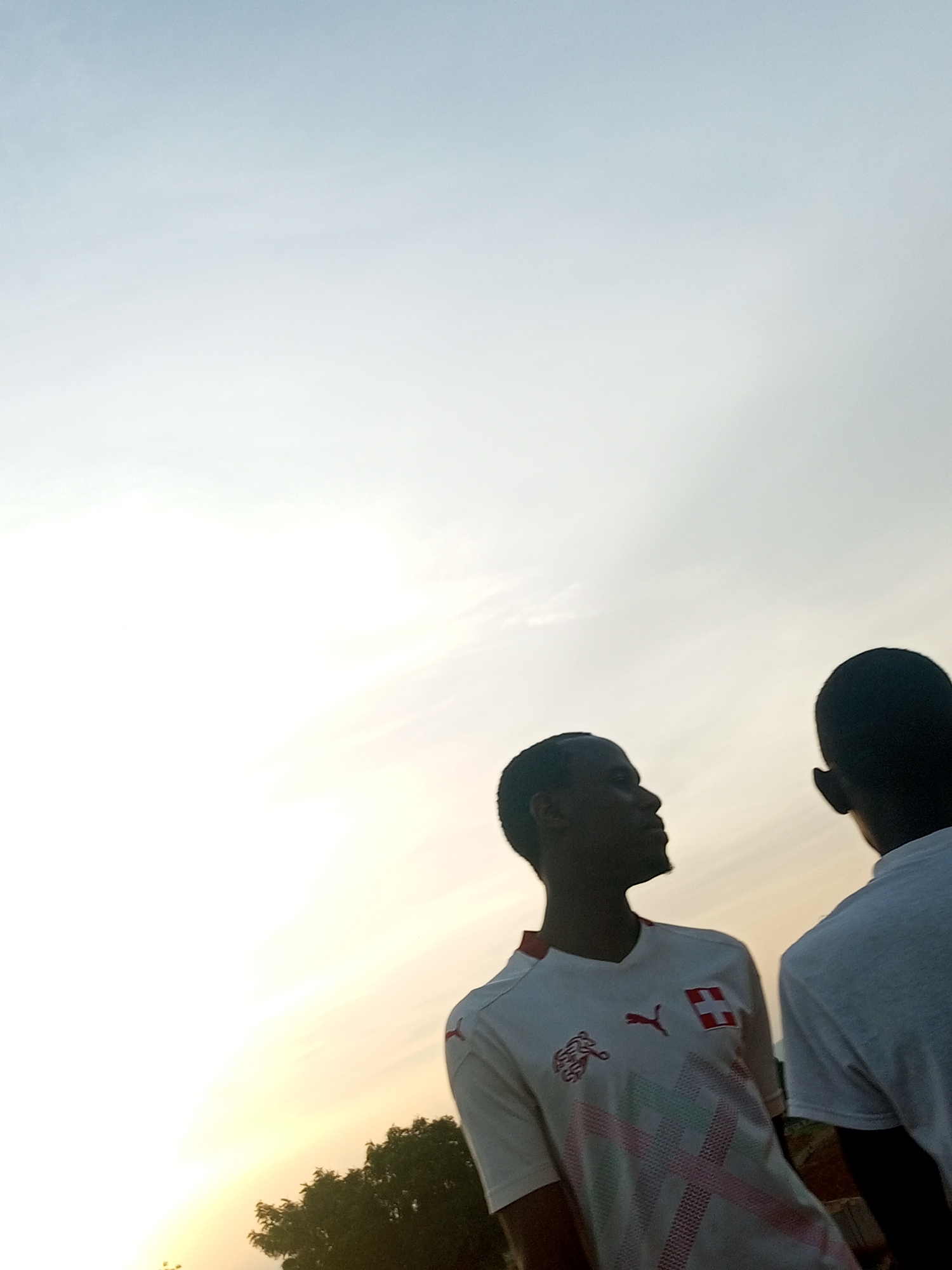 The image depicts two young Black men standing outdoors, silhouetted against a bright, pale sky, likely at dawn or dusk. The man on the left is facing away from the camera, looking to his right, and is wearing a white t-shirt with a red Puma logo and a Swiss flag emblem. The man on the right is facing away from the camera, with his head and shoulder visible. In the lower left corner, a dark green treeline is visible, suggesting a rural or semi-rural setting. The overall lighting indicates it is either early morning or late evening. The location in Gombe, Nigeria, is not explicitly depicted in the visual elements of the image.
