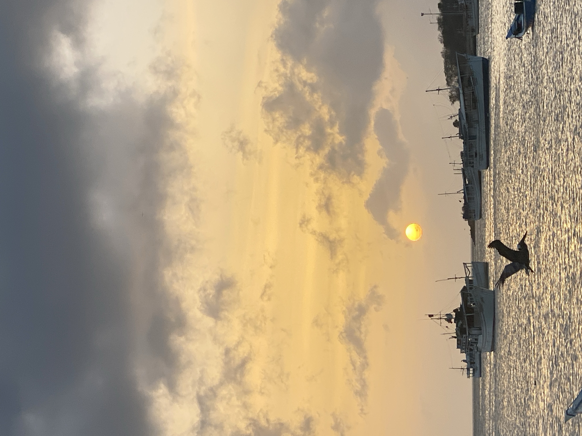 The image shows a waterfront scene in Juan Griego, Venezuela, with several boats docked in the water. The sky is filled with clouds, illuminated by the setting sun, which is visible as a bright disk. A bird, possibly a pelican, is in flight near the boats.