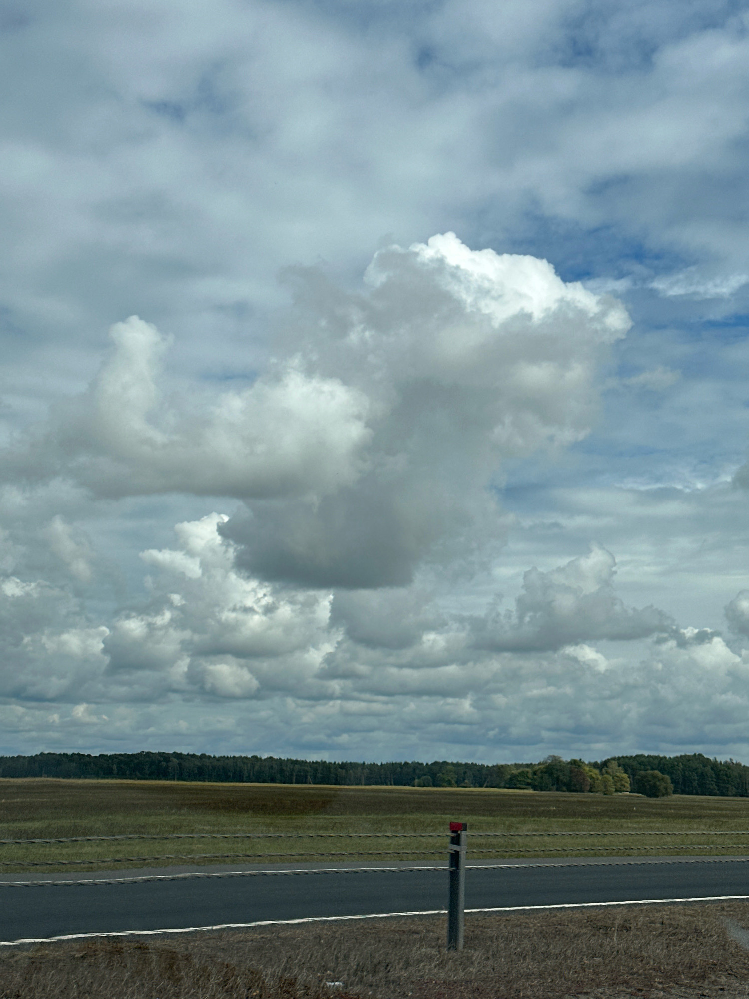 The image depicts a roadside scene in Ясенскі сельскі Савет, Belarus. In the foreground, a dark asphalt road with a white line marking is visible, bordered by dry grass and a barbed wire fence. Beyond the fence lies a wide expanse of green and brown fields, leading to a dense line of dark green trees in the distance. A vertical grey post with a red marker is situated in the field near the road. The sky above is filled with a dramatic display of grey and white clouds, with patches of blue sky showing through. The lighting suggests it is daytime, possibly overcast or with intermittent sun. There are no people or animals visible in the image.