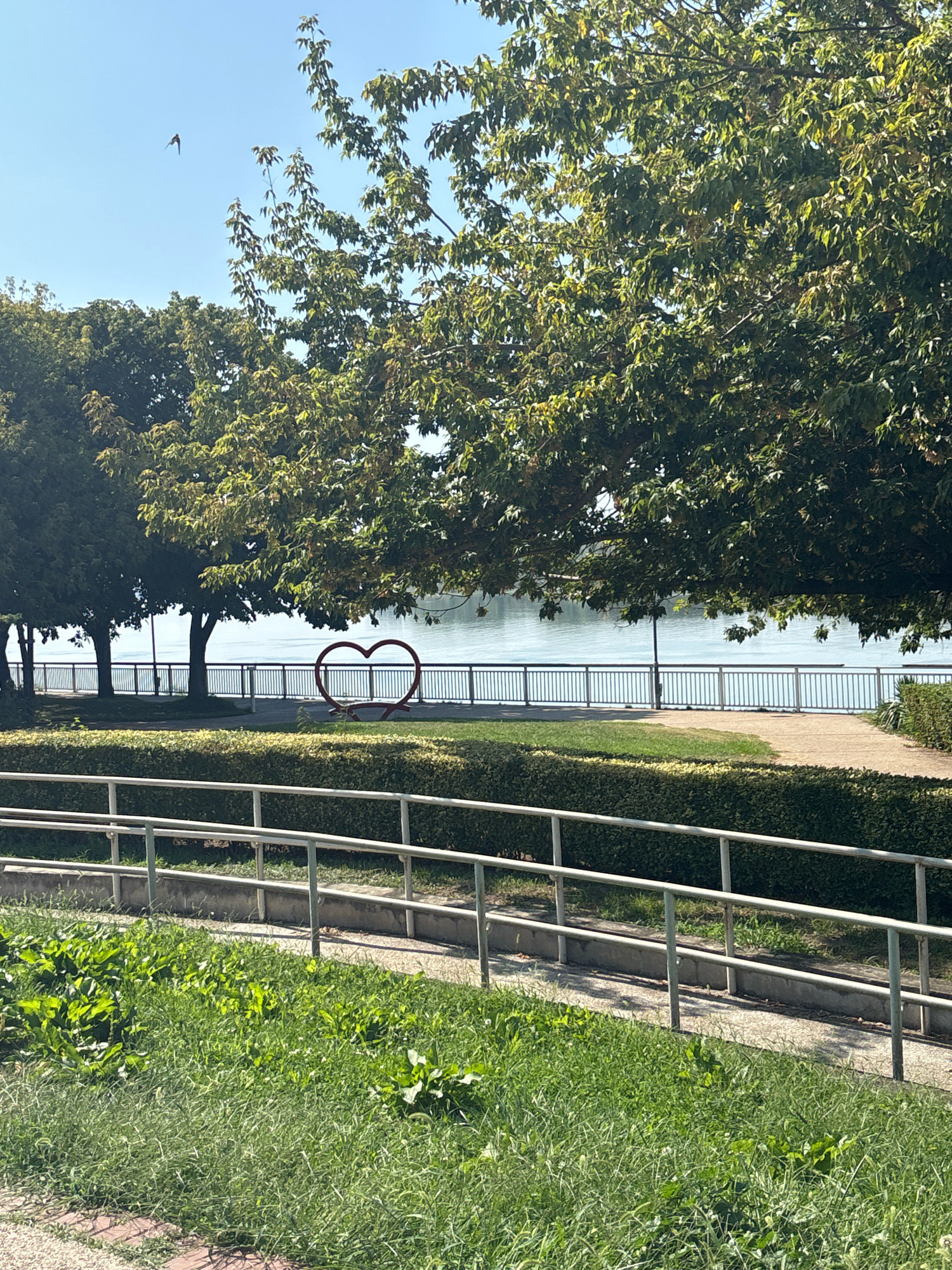 The image depicts a scenic view along a waterfront in Silistra, Bulgaria. In the foreground, a grassy area with lush green vegetation is visible, bordered by a grey metal railing that follows a gentle slope. Behind the railing, a paved walkway curves through a neatly trimmed hedge. Further back, a row of trees with dense green foliage stands along the waterfront, their branches casting shadows. Between the trees, a light blue body of water stretches to the horizon, bordered by a white metal railing. A prominent feature in the middle ground is a red heart-shaped sculpture, which appears to be made of metal and is adorned with a red ribbon at its base. The sky above is clear and blue, with a single bird in flight visible in the upper left quadrant. The overall scene suggests a well-maintained park or public space ideal for leisure activities by the water.