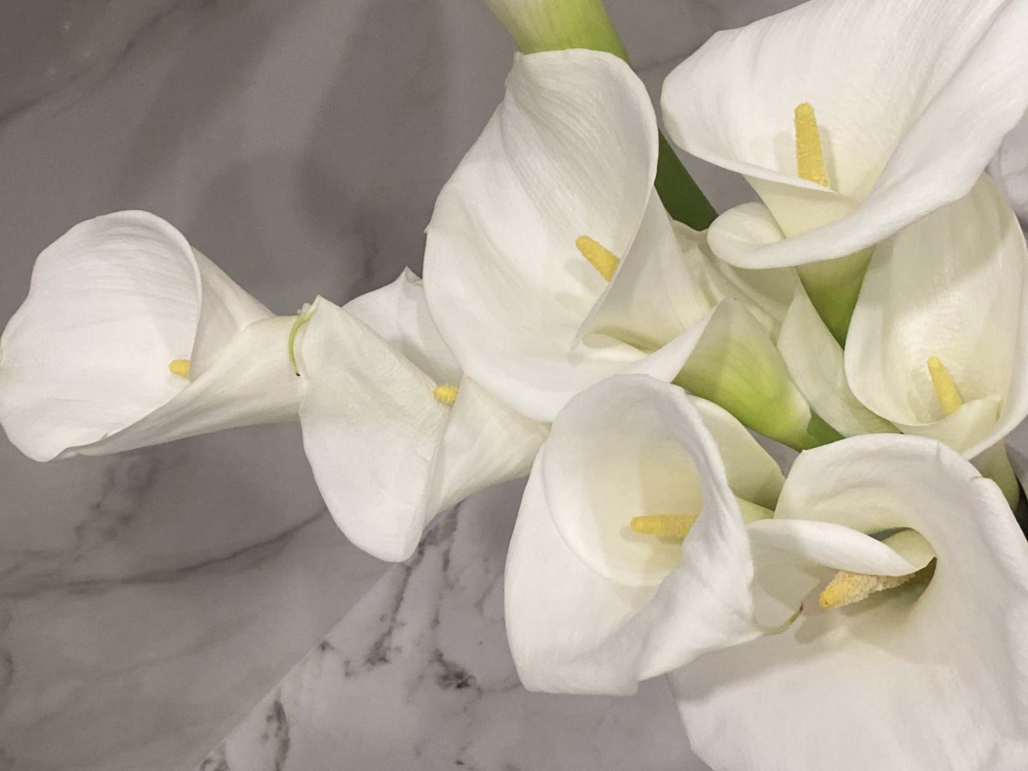 The image displays a close-up, high-angle view of a bouquet consisting of multiple white calla lilies. Each flower features a pristine white, trumpet-shaped spathe enclosing a prominent, textured yellow spadix. Approximately eight to ten individual blooms are visible, clustered together, with subtle glimpses of their green stems appearing between them. The background is a light grey and white marble surface, characterized by dark grey, irregular veining. The lighting is soft and even, casting subtle shadows that highlight the smooth texture of the petals. No people, actions, or specific environmental identifiers are present within the frame. The image does not contain any discernible features, landmarks, or textual information that would allow for the identification of its location within the city of Sochi, Russia.