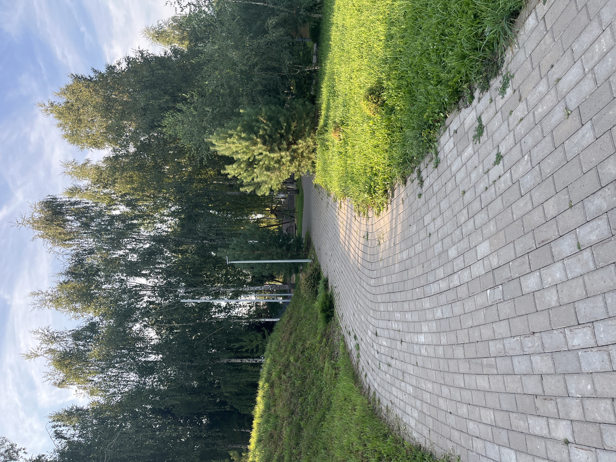 The image shows a paved pathway winding through a park with a grassy embankment to the left and a lawn to the right. Tall trees, primarily birches and evergreens, form a dense background. The pathway is constructed of light-colored rectangular pavers laid in a curved pattern. Sunlight casts shadows and highlights on the path and grass, suggesting it is late afternoon or early morning. A small evergreen tree stands prominently on the right side of the path. In the distance, glimpses of park benches and lamp posts are visible. The overall scene depicts a well-maintained urban park, characteristic of green spaces found in cities like Ufa, Russia. There are no people or animals present in the image.