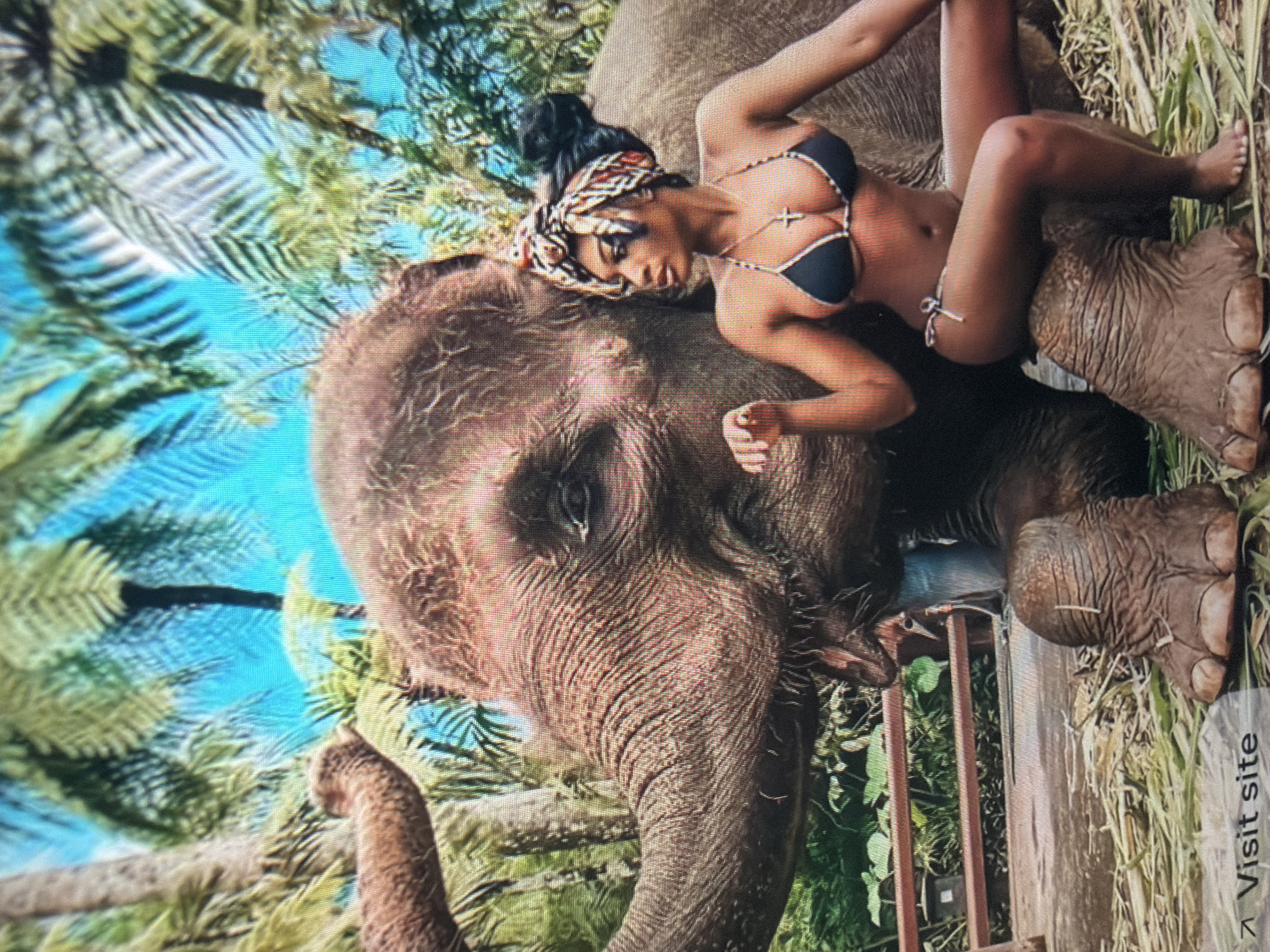 The image depicts a woman posing with an elephant in a lush, tropical outdoor environment, located in the city of Shumen, Bulgaria. The woman, appearing of African descent, is seated with her legs crossed, resting her right thigh on the elephant's right front foot. She wears a black string bikini with silver trim, a cross necklace, and a multi-patterned headwrap covering her hair, which is styled in a high bun. Her left hand is partially open, resting on her left thigh, and she looks to the viewer's left with a focused expression.
A large elephant, appearing to be an Asian elephant, is in a seated or reclining position. Its head and trunk are prominent in the foreground, facing left, with its textured, wrinkled skin visible. Its right eye is open and visible. The ground around the elephant's feet is covered in hay or dry grass.
The background features dense tropical foliage, including large palm-like trees and ferns, set against a bright blue sky. A wooden fence or railing is visible in the mid-ground behind the elephant. A small, dark object, possibly a container, rests behind the fence to the left.