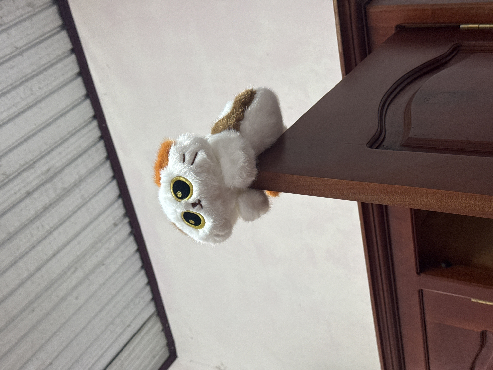 A plush toy resembling a cat with large, wide yellow eyes and brown and orange markings is perched on the top edge of a dark wooden door. The toy is positioned in the upper right quadrant of the image, with its body facing left and its head tilted slightly upwards and to the left. The door frame is ornate with decorative molding, and the door itself appears to be part of a cabinet or wardrobe, also made of dark wood. The background consists of a textured, off-white wall and a metal ceiling with parallel ridges. The lighting suggests an indoor environment. The image does not provide information about the city of Đạ Cháy, Vietnam.