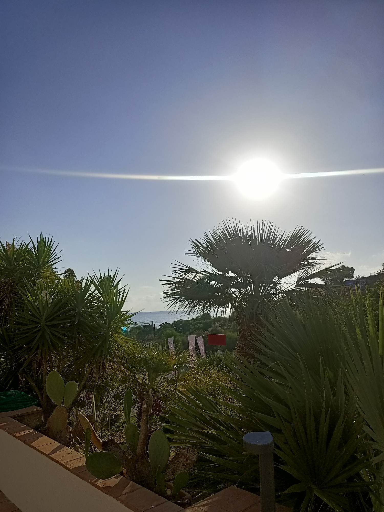 The image captures a bright, sunny day with the sun prominently positioned in the upper center of the frame, casting a lens flare across the sky. The sky is a clear, bright blue, with the sun emitting a strong, white light that creates a horizontal streak across the image. In the foreground, a variety of green foliage is visible, including spiky yucca plants and a large palm tree. Some prickly pear cactus plants are also present, with their distinctive paddle-shaped leaves. In the mid-ground, a hint of the ocean or a large body of water can be seen in the distance, beyond a line of trees. The overall scene suggests a warm, possibly tropical or Mediterranean environment, likely outdoors in a garden or resort setting. There are no people visible in the image.