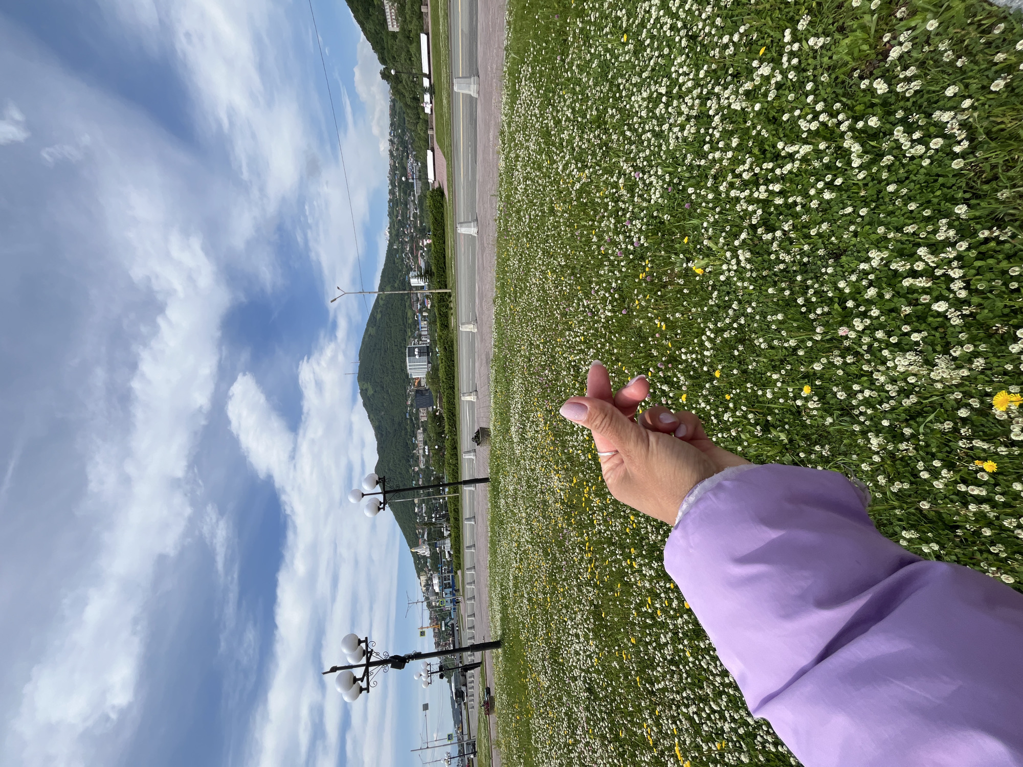 A woman's hand, adorned with a ring, forms a heart shape near a vibrant field of white clover and yellow wildflowers. She wears a lavender jacket. In the background, a road is bordered by concrete bollards, and beyond that, a cityscape unfolds with buildings and trees climbing a lush green hill under a partly cloudy sky. Several ornate streetlights dot the landscape. The scene is identifiable as Petropavlovsk-Kamchatsky, Russia.