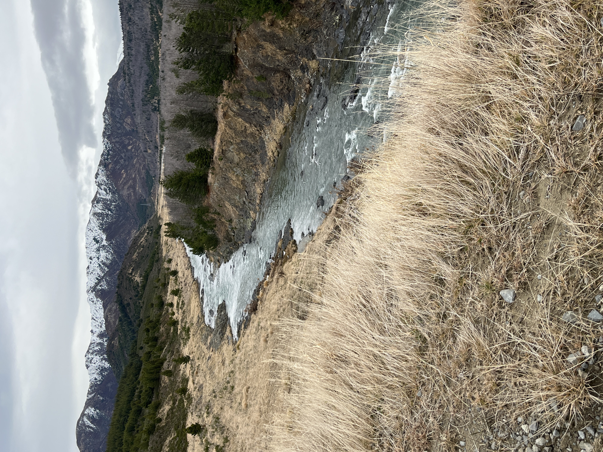 The image depicts a wide, fast-flowing river cutting through a valley in the Saint James Range, New Zealand. The river has rocky banks and is surrounded by dry, golden grasses in the foreground. Further back, the landscape transitions to rugged hills covered in scrubby vegetation and scattered pine trees. In the distance, snow-capped mountains rise against a cloudy, overcast sky. The scene is natural and undeveloped, with no signs of human habitation or activity visible. The overall impression is one of rugged natural beauty and remoteness.