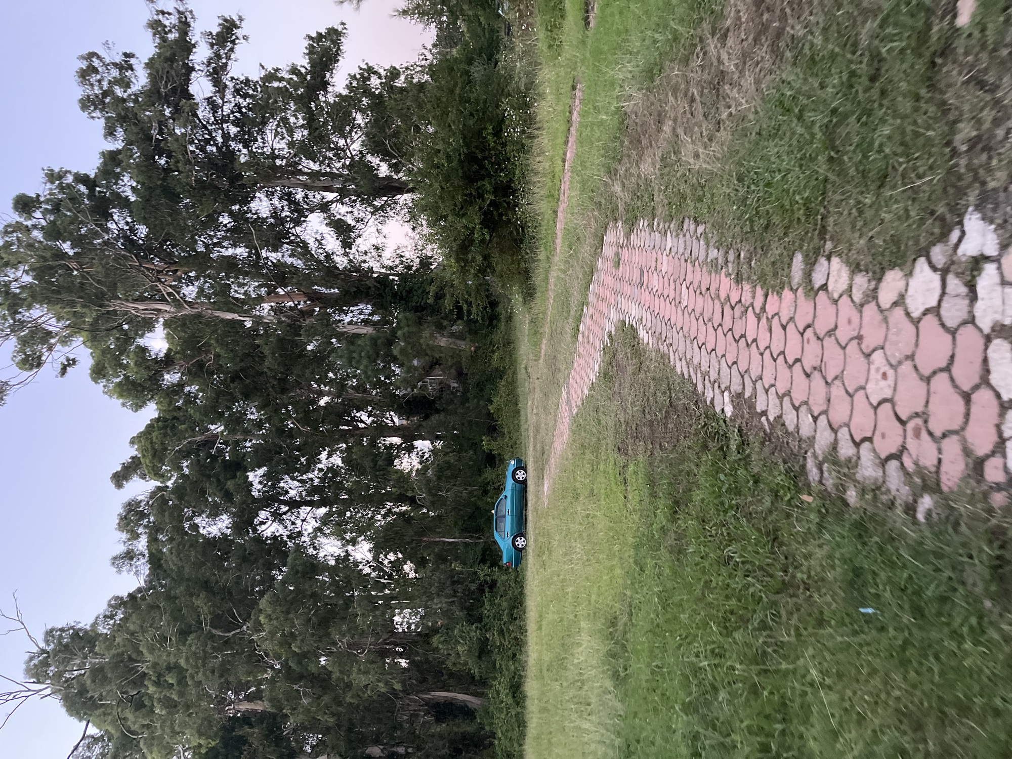 A teal sedan is parked on a grassy area to the left of a curved brick pathway. Tall trees with green foliage line the background, and the sky above is a pale blue. The setting appears to be an outdoor area, possibly a park or residential yard, in the city of Ureki, Georgia. The pathway is made of hexagonal red and white bricks. The grass is green but appears somewhat unkempt in places. No people are visible in the image.
