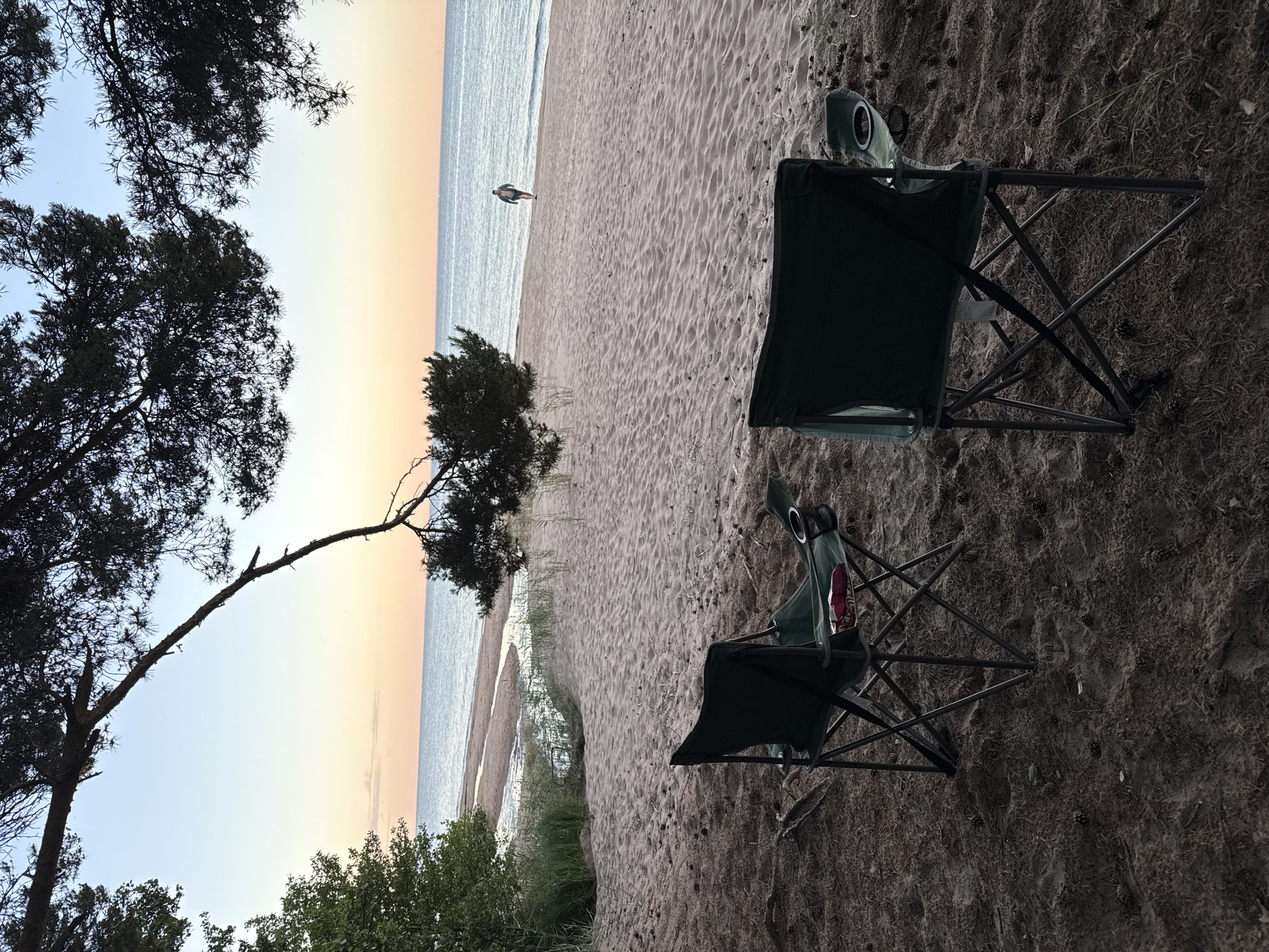 The image shows a beach scene in Zelenaya Roshcha, Russia, at dusk. Two empty green camping chairs are positioned on a sandy shore, with pine trees overhead framing the sky. The ocean is calm, and a person is walking in the distance along the water's edge. The sand is dotted with pinecones and dry pine needles, indicating the proximity of a forest. The sky transitions from a pale blue at the top to hues of orange and pink near the horizon.