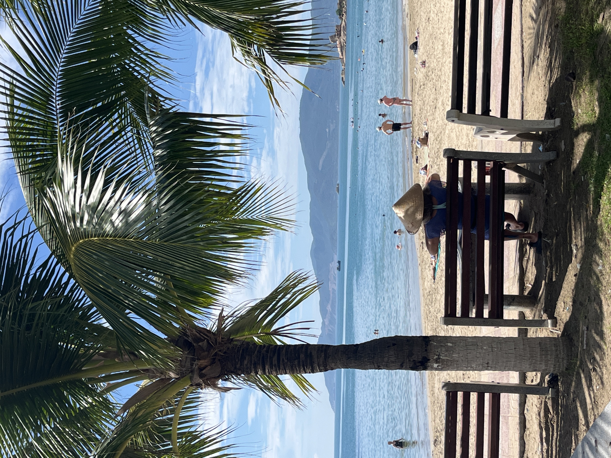 The image depicts a serene tropical beach scene in Bac Nha Trang Ward, Vietnam, viewed from beneath the canopy of a large palm tree. The vibrant green fronds of the palm tree fill the upper left and lower foreground, with a sturdy trunk visible on the left side, slightly offset from the center.
In the mid-ground, two wooden benches are positioned on the sandy beach. A person wearing a traditional Vietnamese conical hat (nón lá) is seated on the left bench, facing the calm, light blue ocean. Another person is partially visible near the right bench. The beach itself is a stretch of golden sand, with soft shadows from the trees.
The tranquil sea extends across the middle of the frame, showing several people scattered in the water and on the shore. Two individuals stand near the water's edge, one in a light swimsuit and another in dark shorts. Smaller figures are seen swimming or wading further out in the gentle waves. In the distant background, a range of large, hazy blue mountains rises from the sea, meeting a clear blue sky dotted with soft white clouds. The scene suggests a bright, sunny day, likely morning or afternoon, with a peaceful atmosphere conducive to relaxation and leisure by the water. There is no visible text in the image.