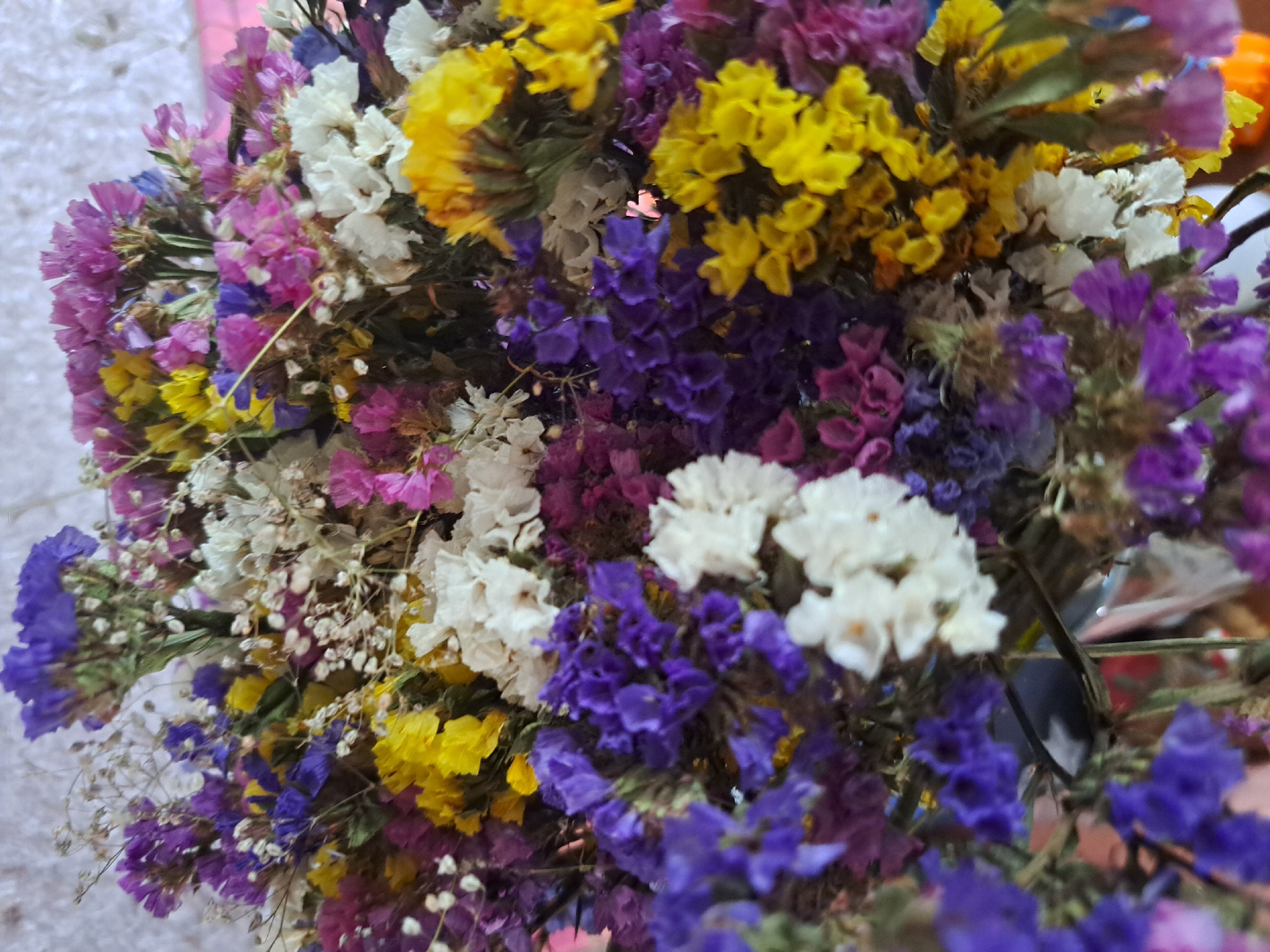 The image displays a close-up view of a bouquet of dried flowers, featuring a vibrant mix of purple, yellow, white, and pink blossoms. The flowers are tightly clustered, with delicate petals and fine stems, creating a textured and colorful arrangement. The background is blurred, suggesting a shallow depth of field, and appears to be a light-colored, textured surface, possibly a wall. The lighting is soft, highlighting the intricate details of the dried flowers. There is no indication of the city of Vypasne, Ukraine, or any specific environmental context beyond the immediate presence of the flowers.