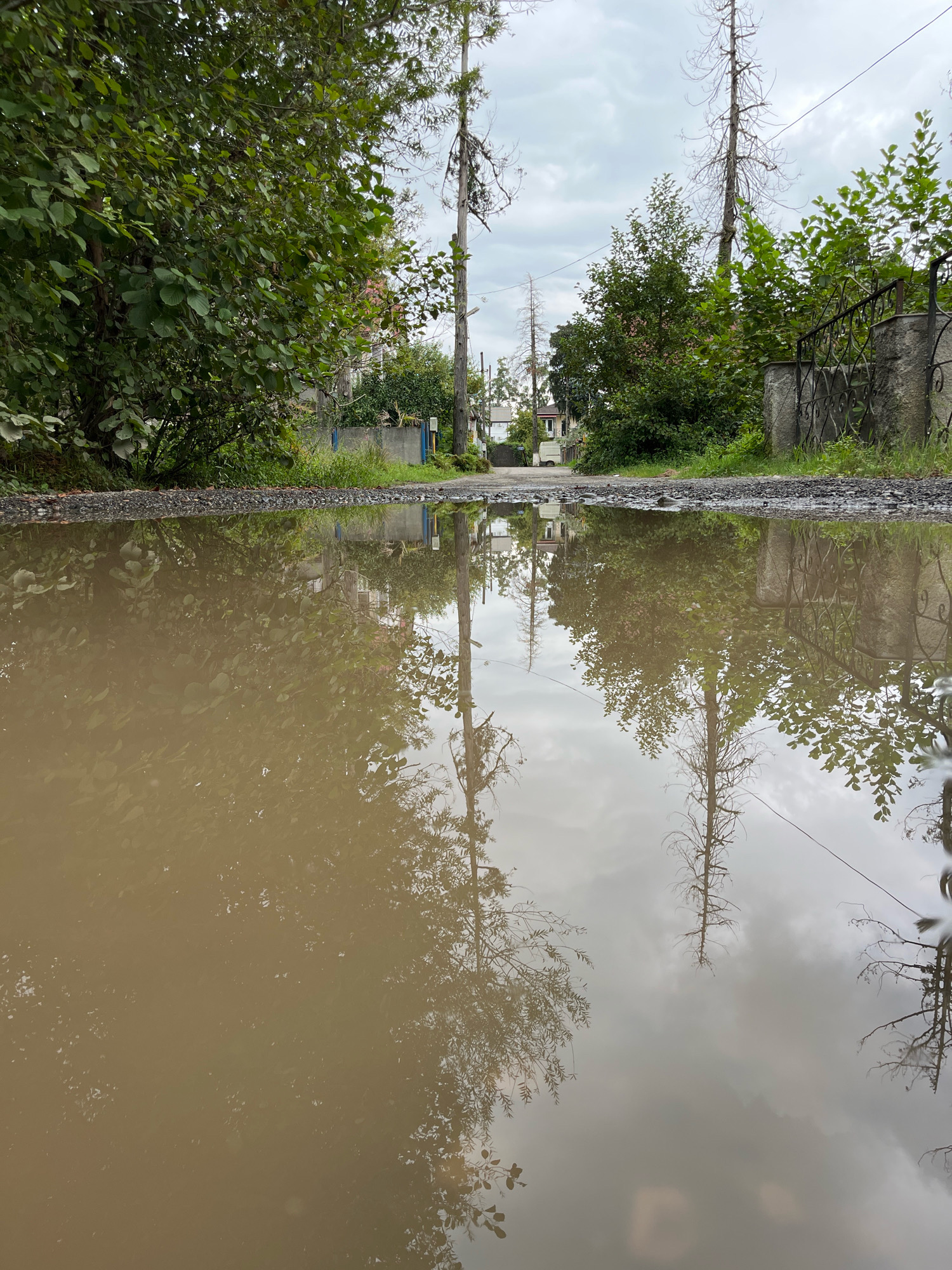 The image captures a large, muddy puddle on a gravel road in Ureki, Georgia. The puddle reflects the surrounding environment, including lush green trees, tall, bare trees, a wrought-iron fence, and buildings in the distance. The sky is overcast. The scene appears to be an ordinary street or road, likely in a residential area, with a clear indication of recent rainfall. There are no people or animals visible in the frame. The overall impression is one of a quiet, somewhat overcast day in a semi-rural or suburban setting within Ureki.