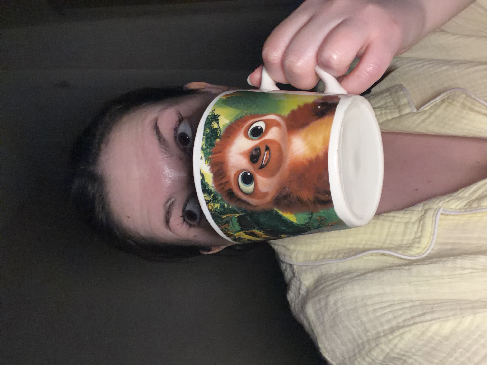 The media file presents a close-up, vertically oriented image of a person holding a white ceramic mug in an indoor setting in Chaikovsky, Russia. The person's face is partially hidden behind the mug, with wide-open eyes and eyebrows visible, peering over the top. She has dark hair and a light complexion, and her right hand, holding the mug by its handle, is also visible. She is dressed in light yellow, textured pajamas or loungewear, suggesting a casual and comfortable atmosphere, likely at home.
The ceramic mug features a prominent cartoon illustration of a smiling, light-brown sloth with large, round blue eyes, set against a green, foliage-filled background. The cheerful expression of the sloth contrasts with the person's somewhat startled or curious gaze.
The background is dark and out of focus, indicating low lighting conditions, which might suggest evening, nighttime, or early morning. No specific location cues beyond an indoor environment are discernible, nor are there any signs of outdoor weather. There is no visible text present in the image. The scene captures a candid, intimate moment, possibly a playful interaction or a quiet contemplation with a warm beverage.